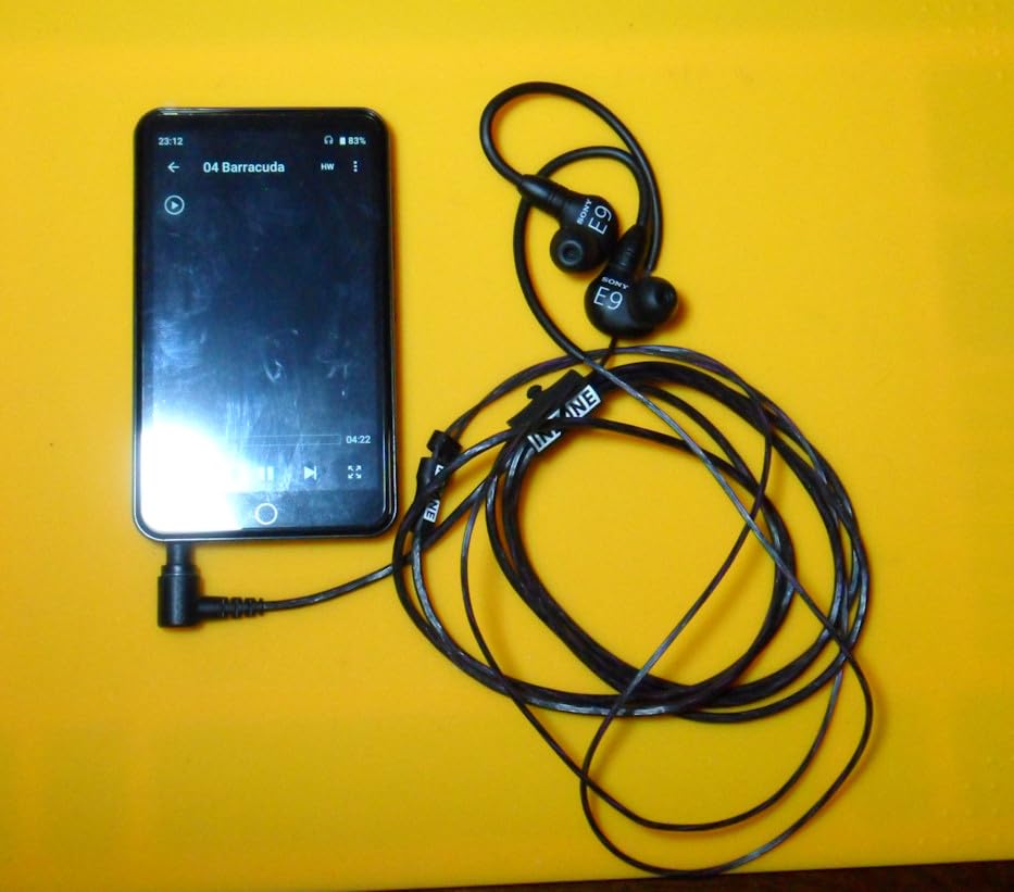 Sony INZONE E9 Wired in-Ear Monitor for Gaming, Tuned for FPS Games, Sound Isolating Earbuds, Comfortable Fit, Low Profile Design, 360 Spatial Sound, Case Included, Developed with Fnatic, White customer photo 2