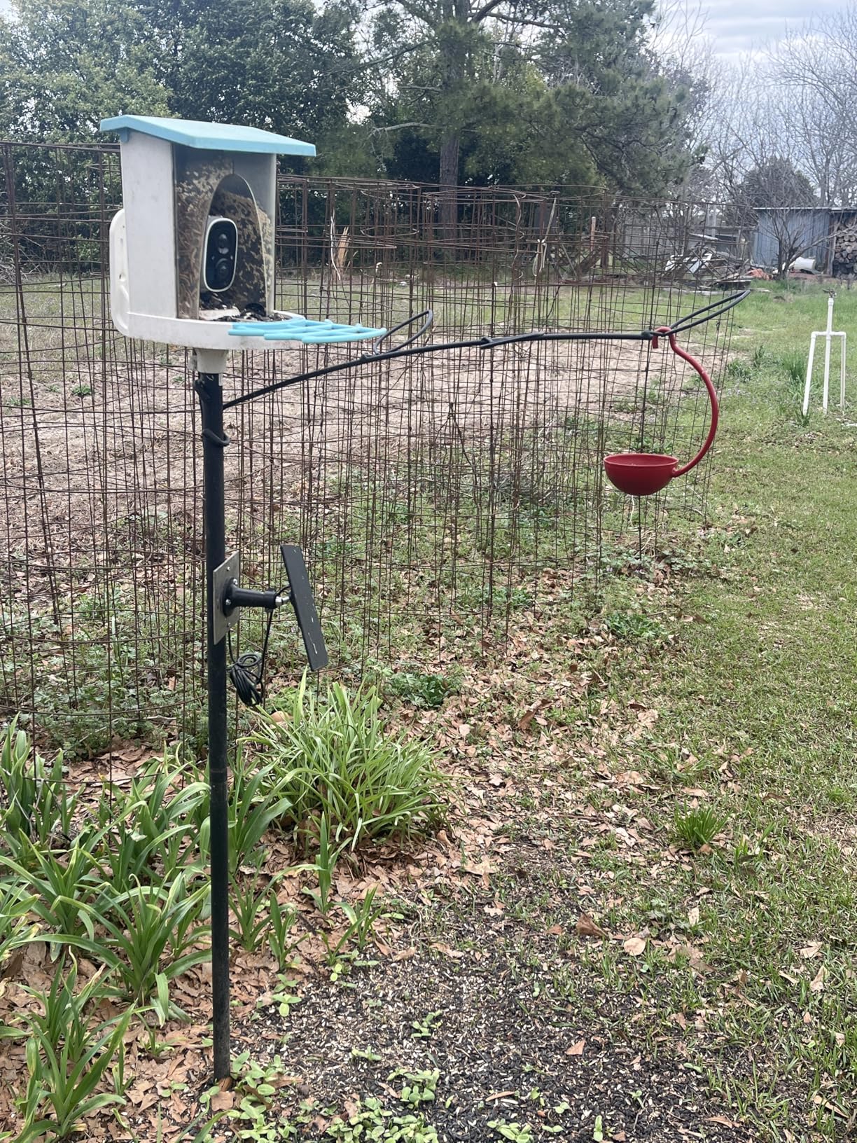 isYoung Smart Bird Feeder with Camera, 2.5K QHD, AI Identify 16000+ Birds, Dual Solar Panel, AI Auto-Capture & Motion Detection, IP65 Weatherproof, 170° Field of View, Perfect Bird Watching Gift customer photo 2