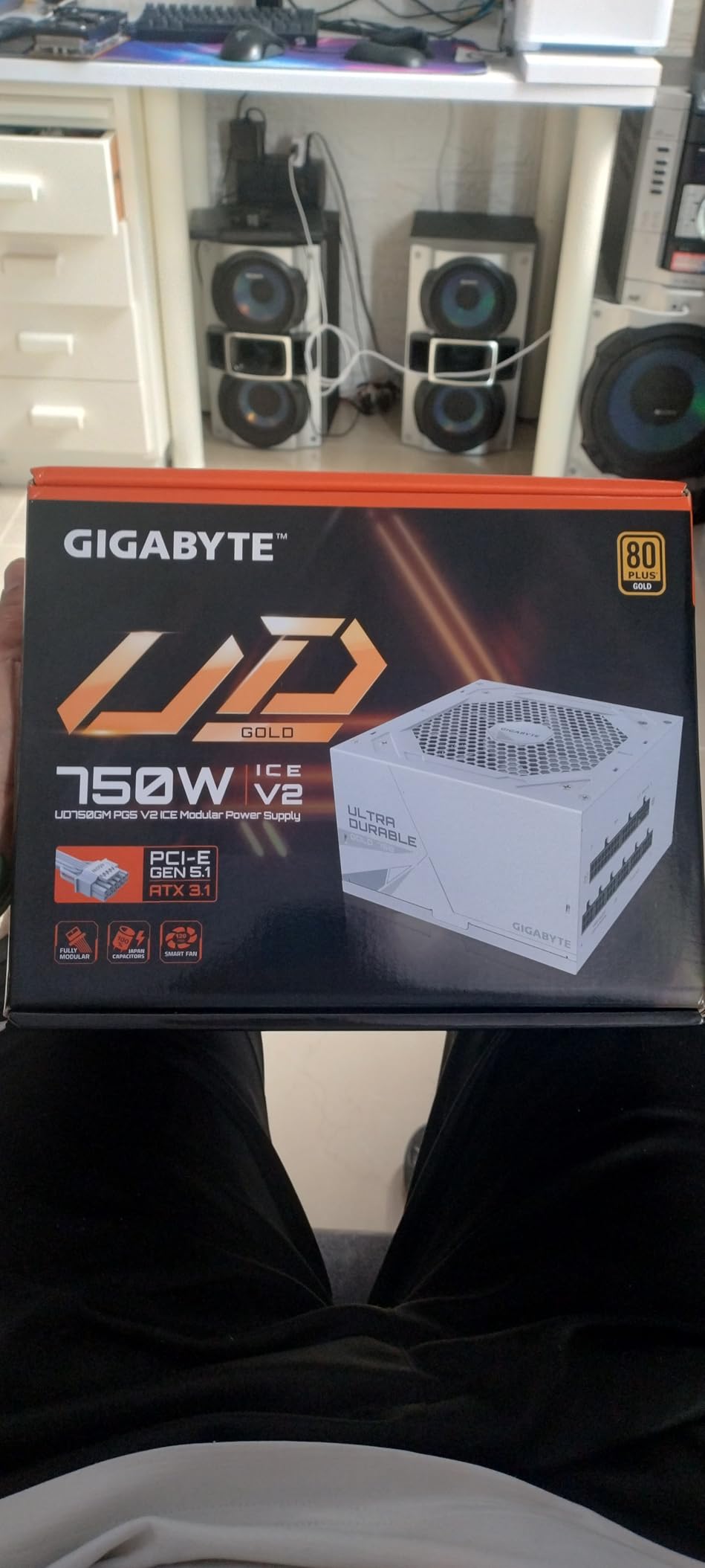 GIGABYTE UD750GM PG5 V2 ICE - 750W 80 Plus Platinum Certified - PCIe5.1 Ready - ATX3.1 - Fully Modular Power Supply (GP-UD750GM PG5 ICE) customer photo 2