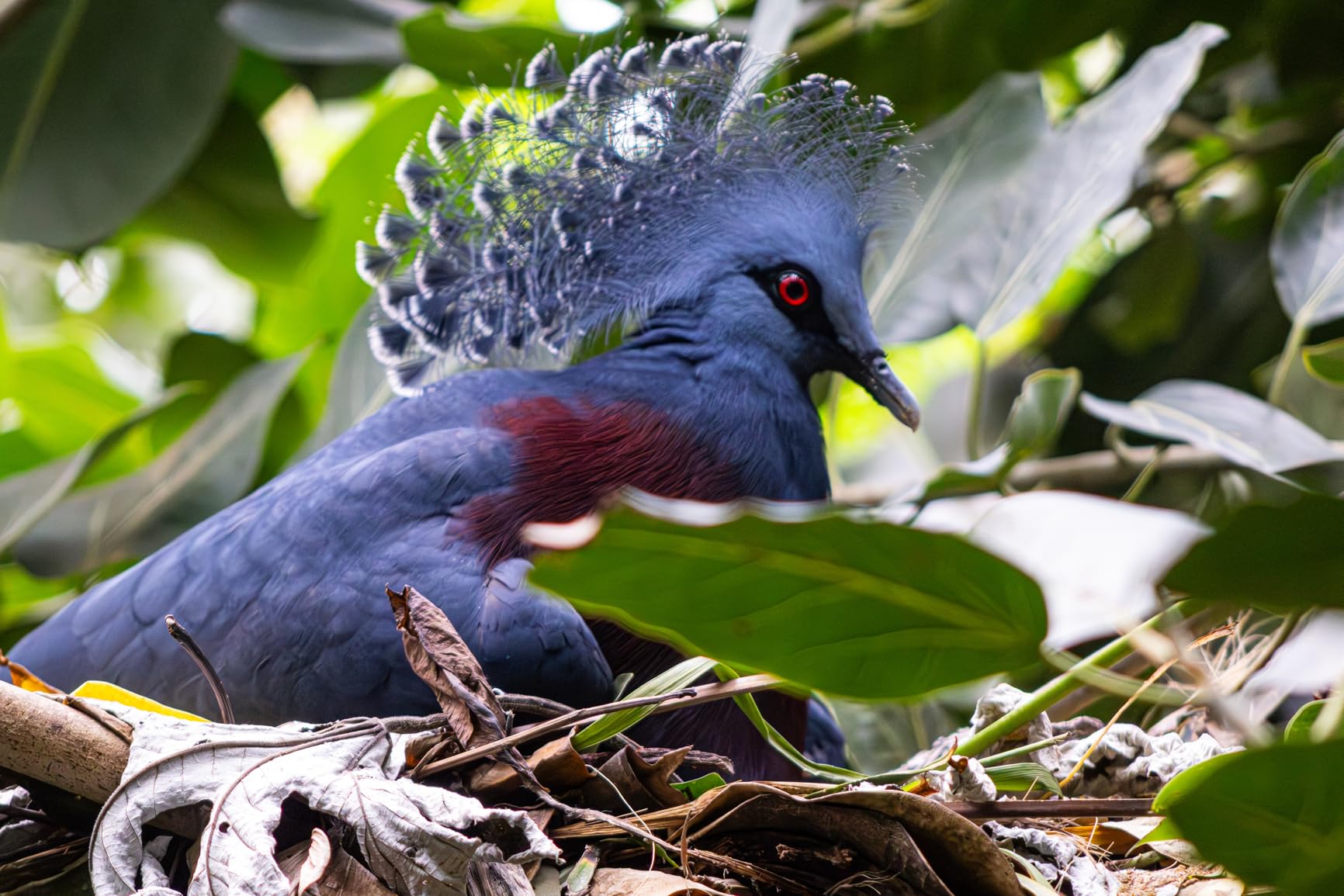 Canon RF 75-300mm f/4-5.6 Lens customer photo 2