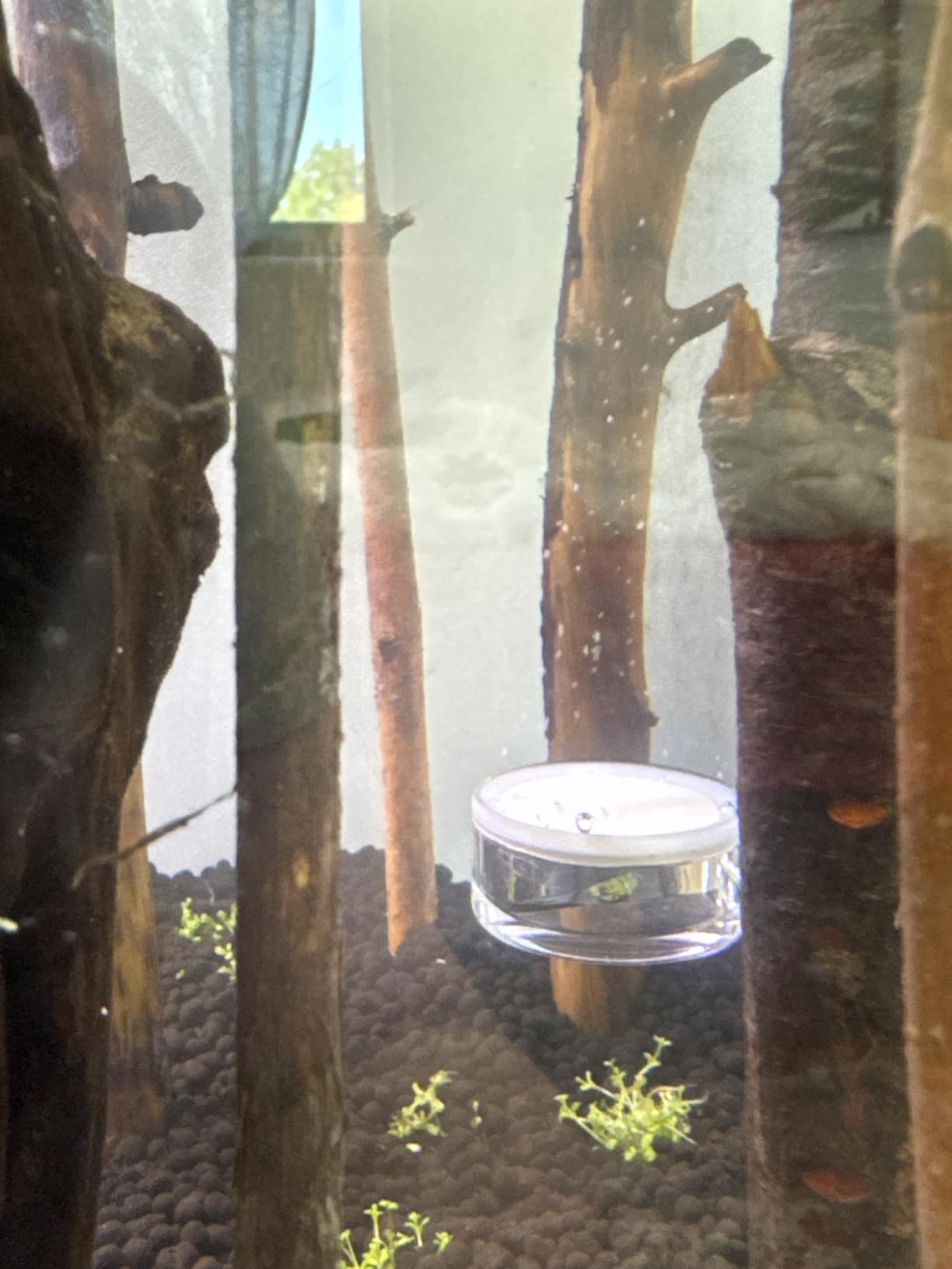 Complete Aquarium CO2 System, Desktop CO2 Regulator with 45g Disposable CO2 Cartridge, Compatible with 5/8