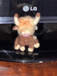Yizzvb Needle Felting Kit, Highland Cow Needle Felt Beginner Kits with Instruction, Wool, Felting Needles, Felting Pad, Wool Felting Kit for Beginners Home Decoration customer photo 1