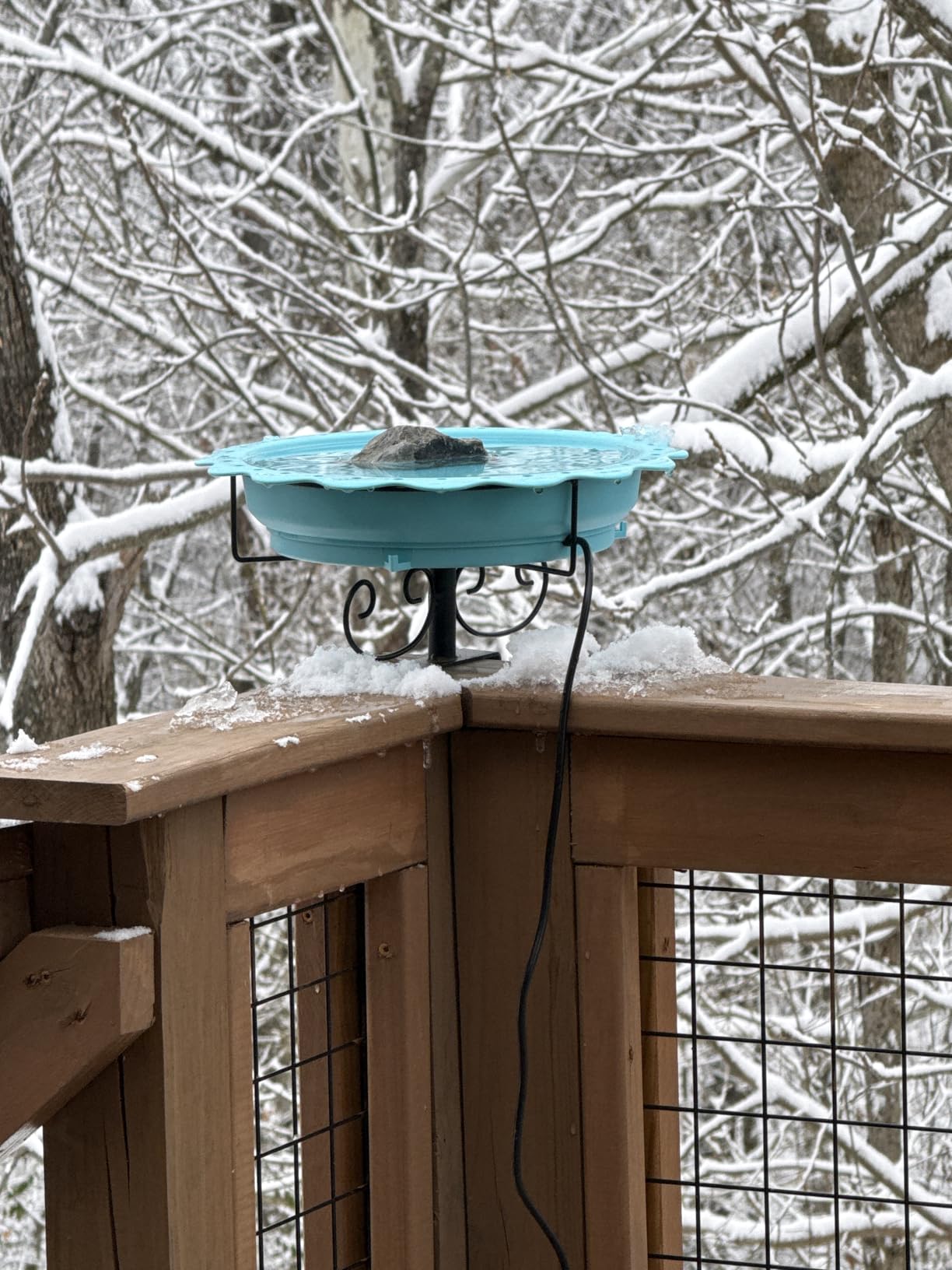 Heated Bird Baths for Outdoors, 100W Heated Bird Bath for Deck Railing, Heated Birdbath with Thermostat Control customer photo 2