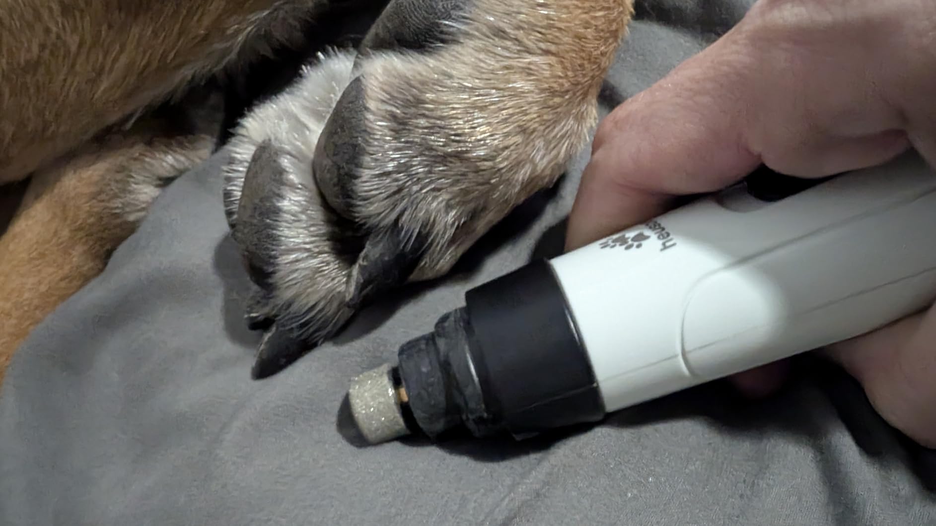 Silent Groom Pro Pet Nail Grinder | Whisper Quiet Claw Trimmer for Dogs, Cats and Other Animals | Safe & Stress Free Nail Grooming, Ideal for Sensitive Dogs of All Breeds & Sizes customer photo 1