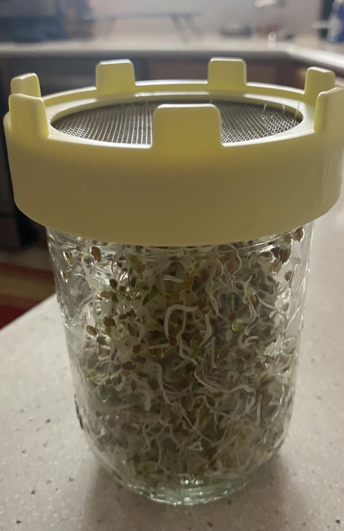 Elementi Sprouting Jar Kit - Set of 2 Wide Mouth Mason Jars with Sprout Lids & Stainless Steel Mesh Screen - Seed Sprouting Kit & Sprout Jars for Growing Broccoli Sprouts, Alfalfa, Mung Bean Sprouter customer photo 2