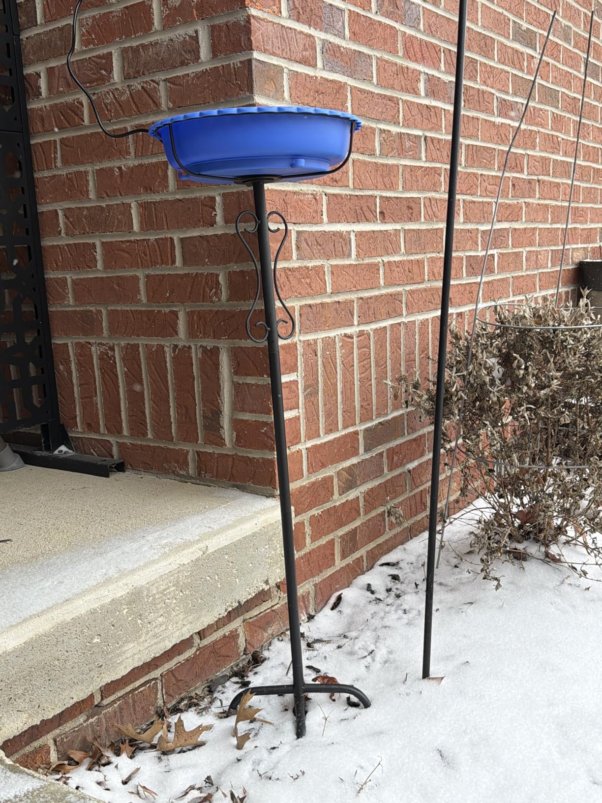 Heated Bird Bath for Outside Winter, 100W Thermostat Control Birdbath Bowl with Metal 5-Prong Base, Freestanding Heated Bird Baths customer photo 1