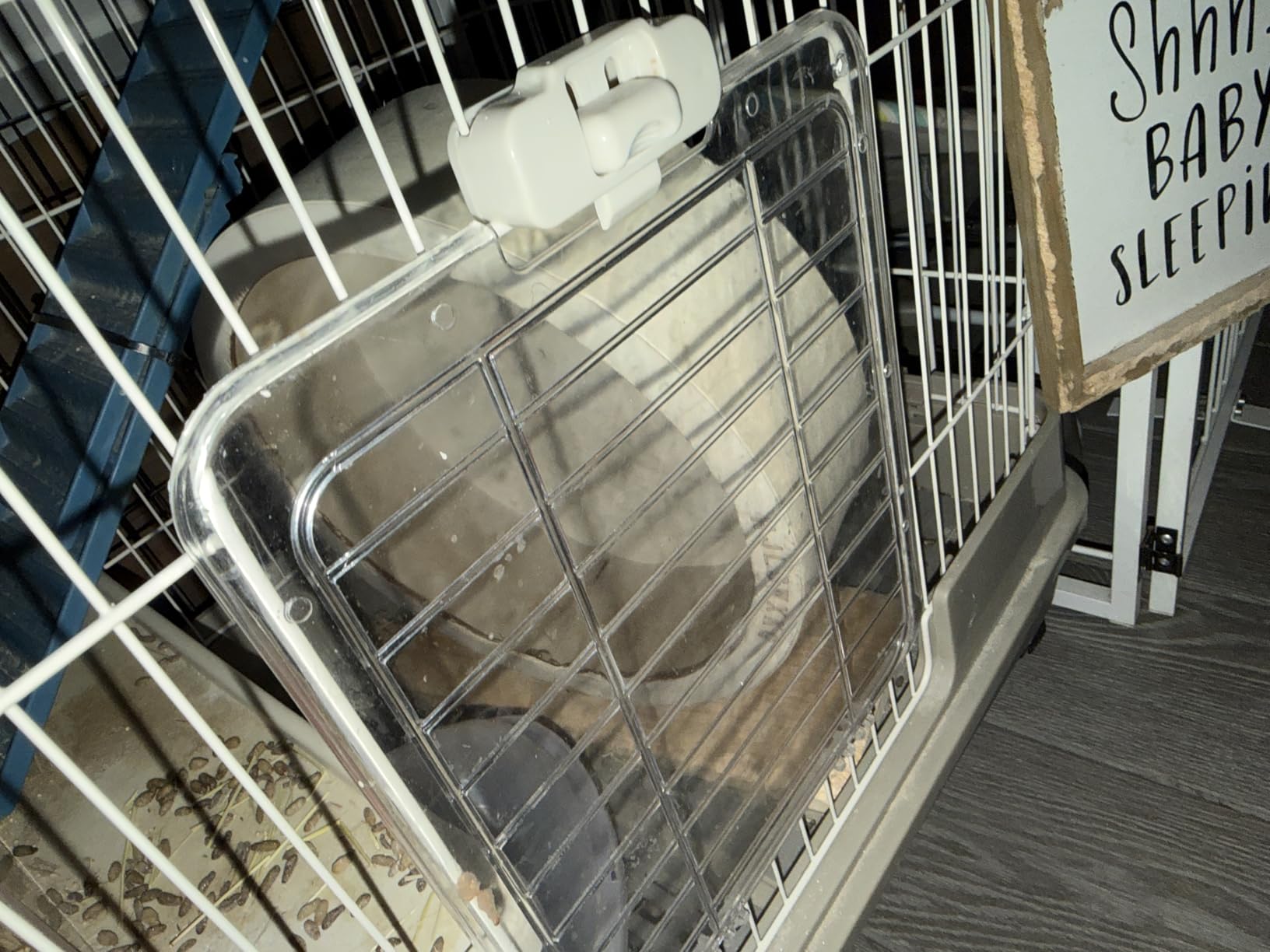 13in Large Hamster Silent Exercise Wheel - Wooden Chinchilla Wheel with Removable Washable Track, Quiet Wheel for Hedgehog,Rat,Syrian Hamster(13in) customer photo 1