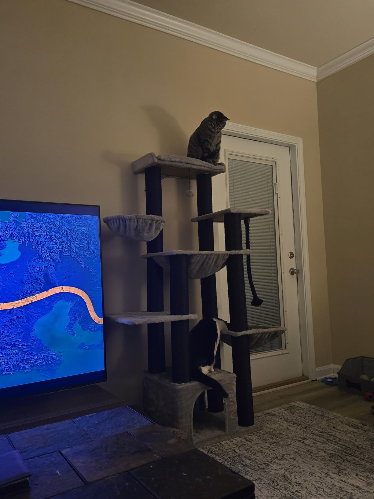 MUTTROS Heavy Duty Cat Tree for Maine Coon - 67