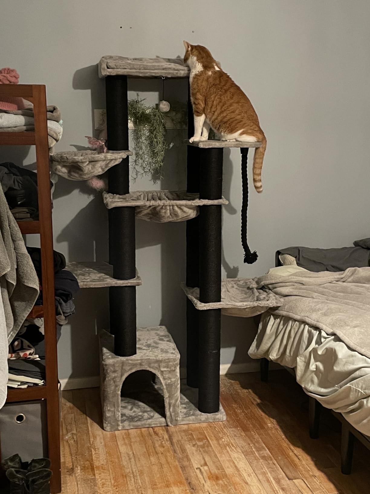 MUTTROS Heavy Duty Cat Tree for Maine Coon - 67