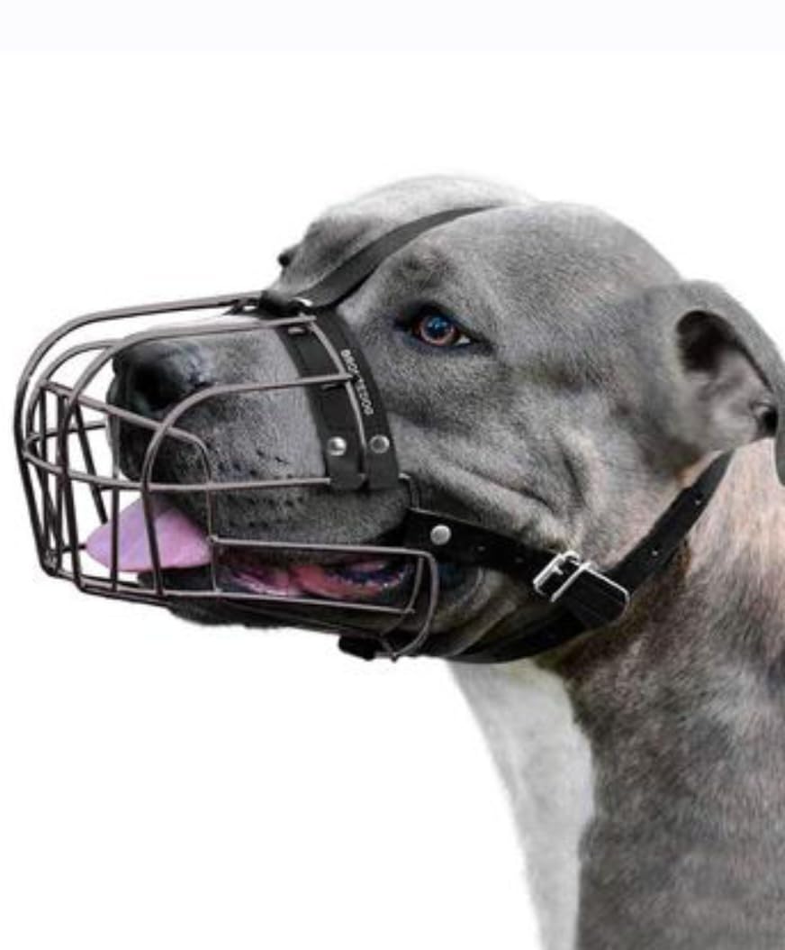 Pitbull Dog Muzzle Metal Mask Amstaff Secure Wire Basket Adjustable Durable Leather Straps for Large Dogs (Black) customer photo 2