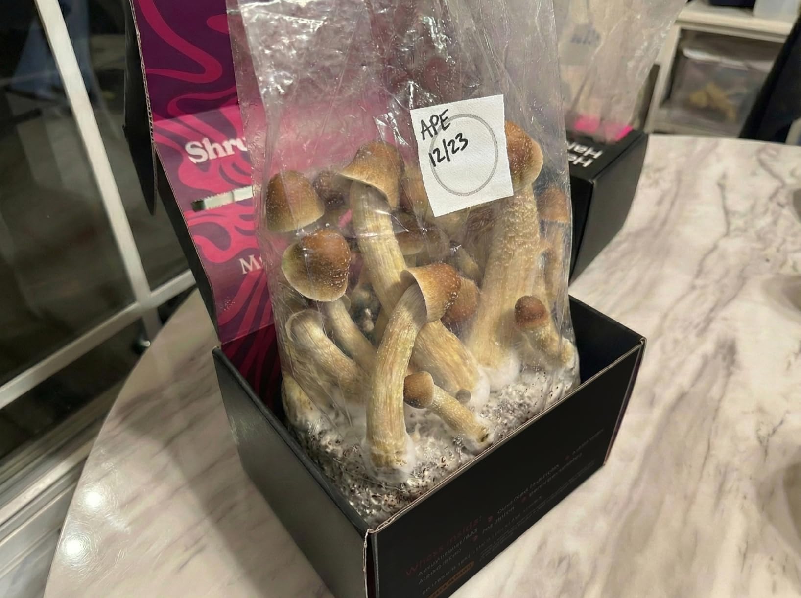 Mushroom Grow Kit - All-in-One 4LB Grow Bag with Injection Port - Fast-Colonizing Premium Substrate for Exotic & Gourmet Fungi - Multi-Flush High-Yield - USA Made customer photo 1