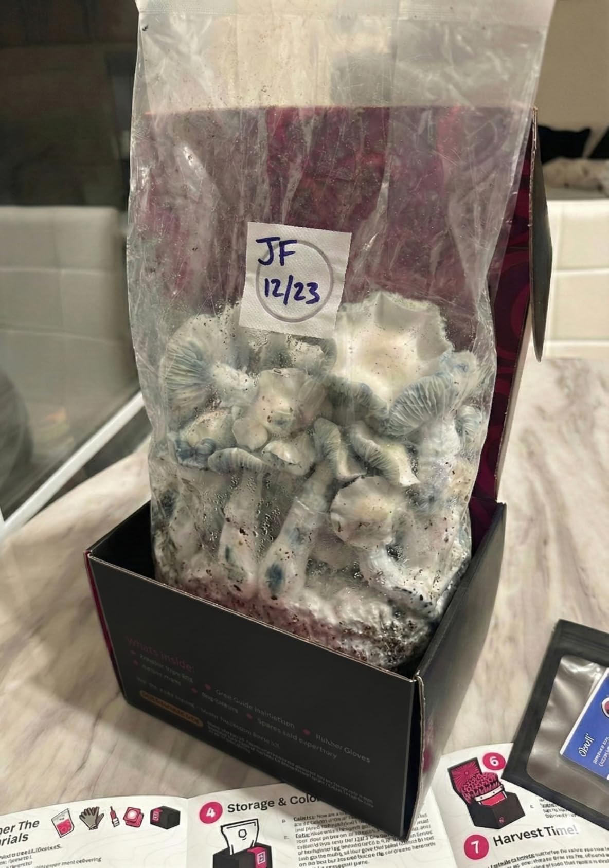 Mushroom Grow Kit - All-in-One 4LB Grow Bag with Injection Port - Fast-Colonizing Premium Substrate for Exotic & Gourmet Fungi - Multi-Flush High-Yield - USA Made customer photo 2