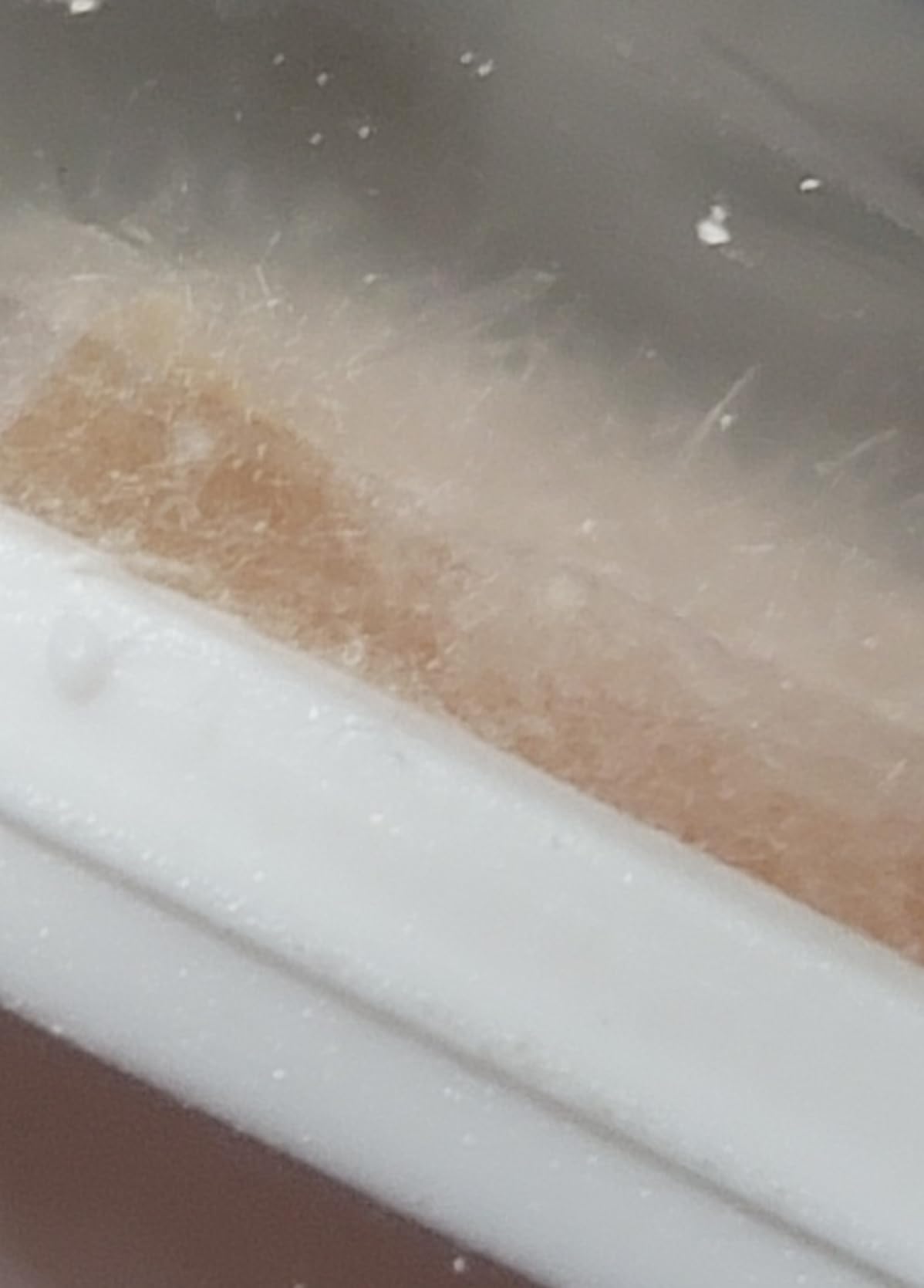 Mold Test Kit for Home by Detekt - with 4 Mold Detection + 4 Bacteria Detection Tests for HVAC, Surfaces, & Indoor Air Quality - DIY Kit inlcudes Detailed Identification Guide & Free Consultation customer photo 1