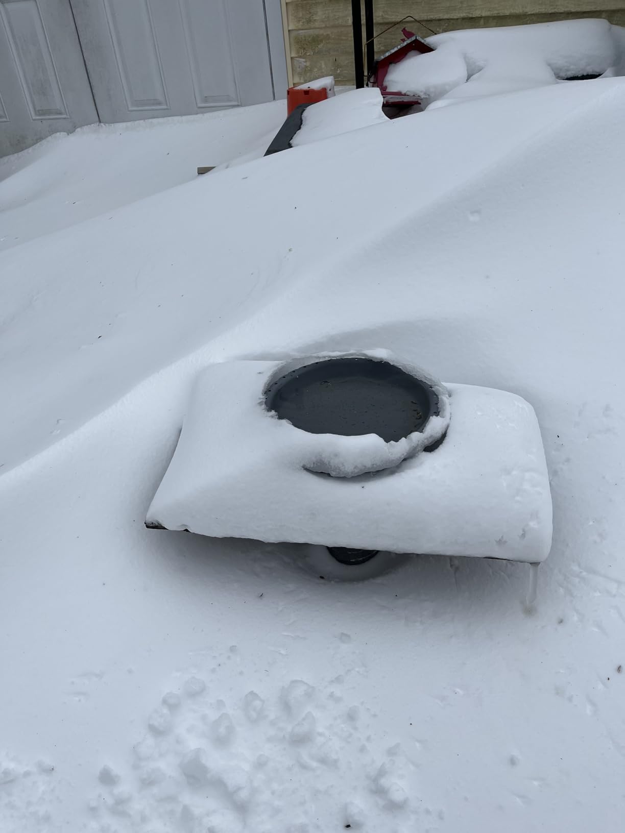 Heated Bird Bath for Outside Winter, 100W Thermostatically Controlled Heated Birdbath with Metal Extension Screws customer photo 1