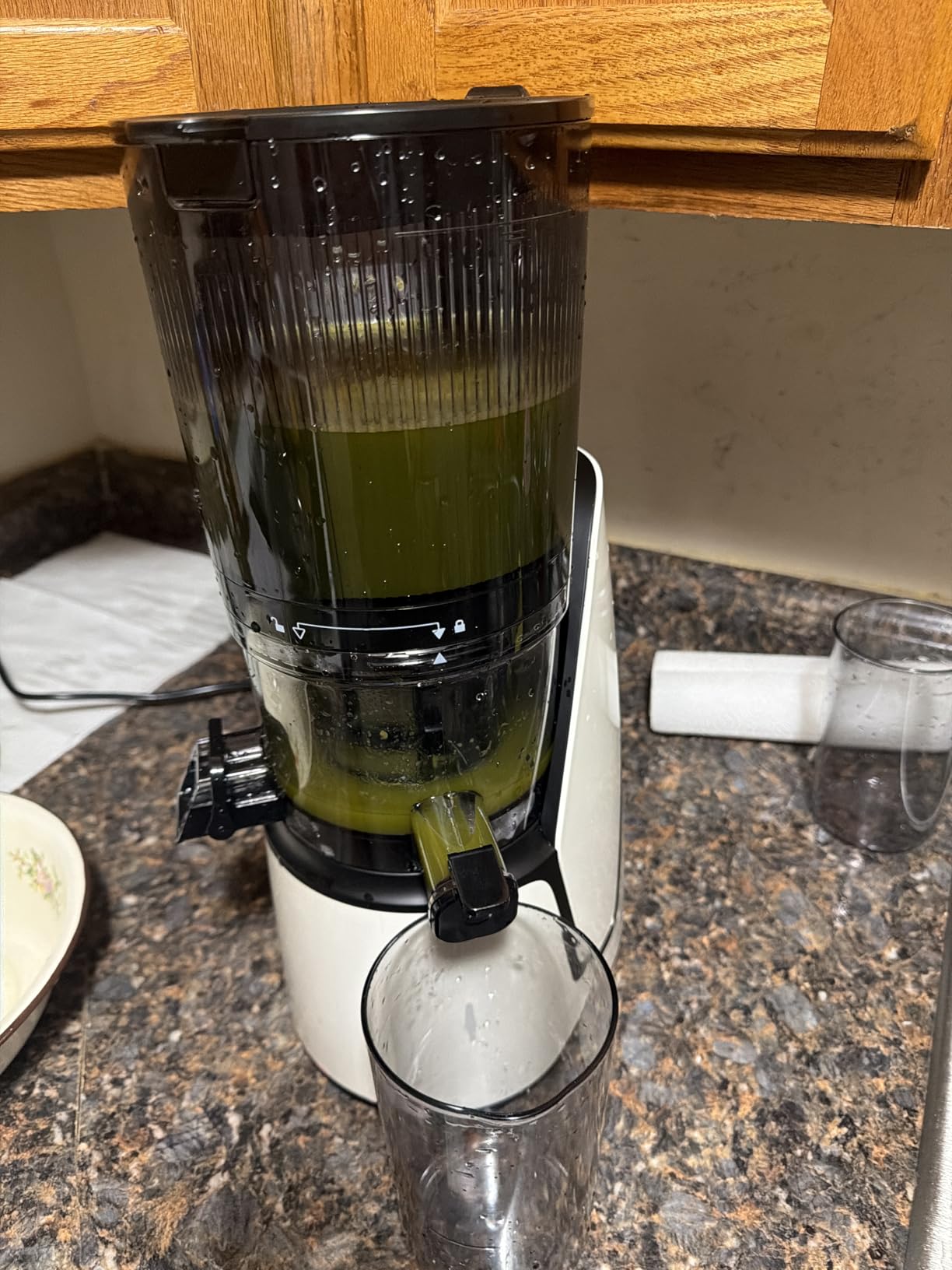 EanOruus Juicer Machines - 3-in-1 Cold Press Juicer with 6.5