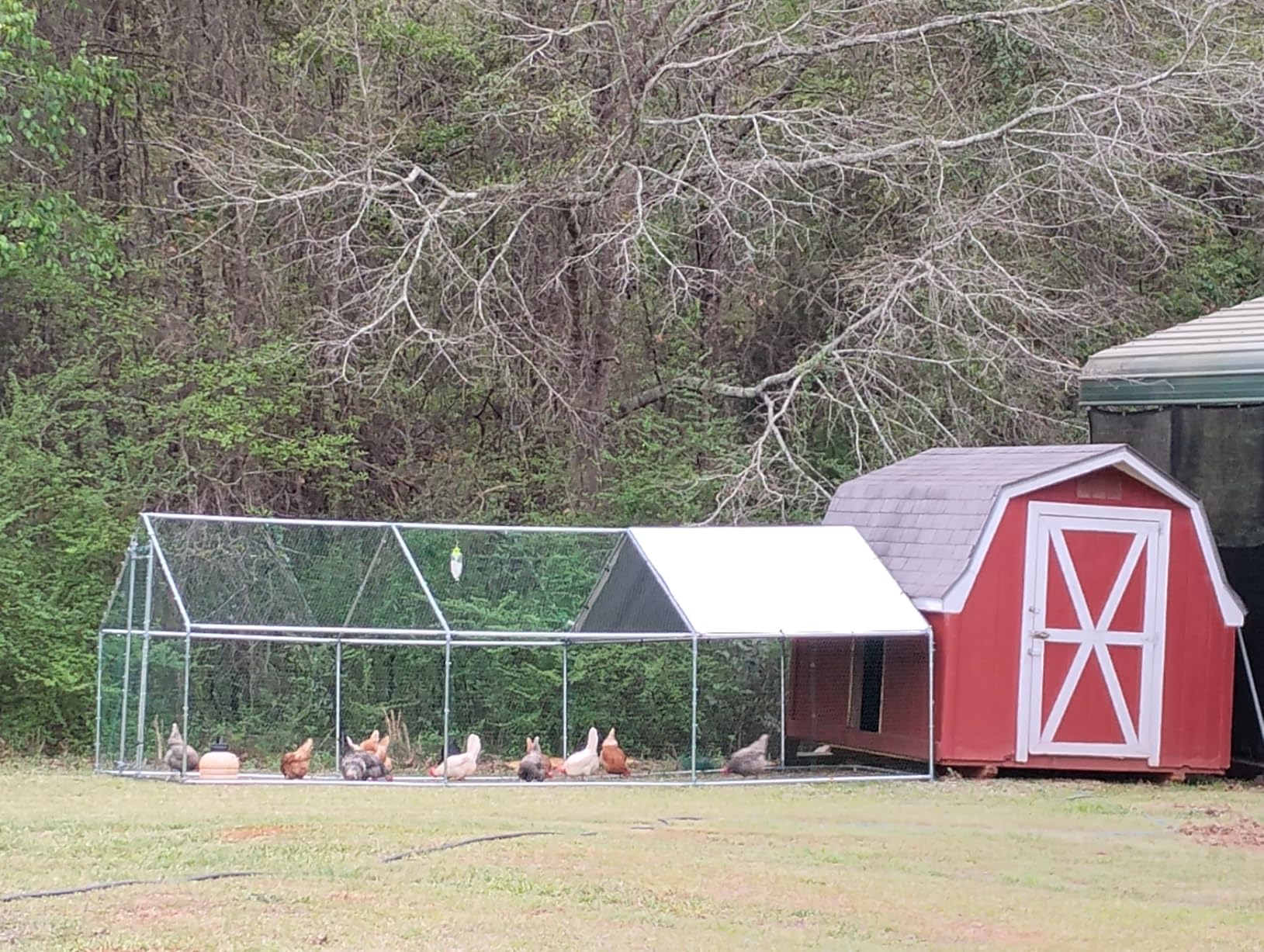 VEVOR Metal Chicken Coop for 4-6 Chickens, 3.3 x 6.6 x 3.3 ft, Small Chicken Cage with Waterproof Cover & Double Doors, Spire Roof Poultry Run Compatible with Wooden Coops, for Rabbit Hen Goose Duck customer photo 1