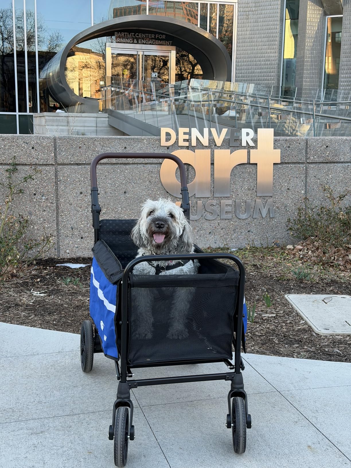 Dog Wagon for Medium Large Dogs up to 200lbs, All Terrain Foldable Large Pet Stroller with Ramp, Dog Wagon Cart with Adjustable Handle & One-Step Brake customer photo 1