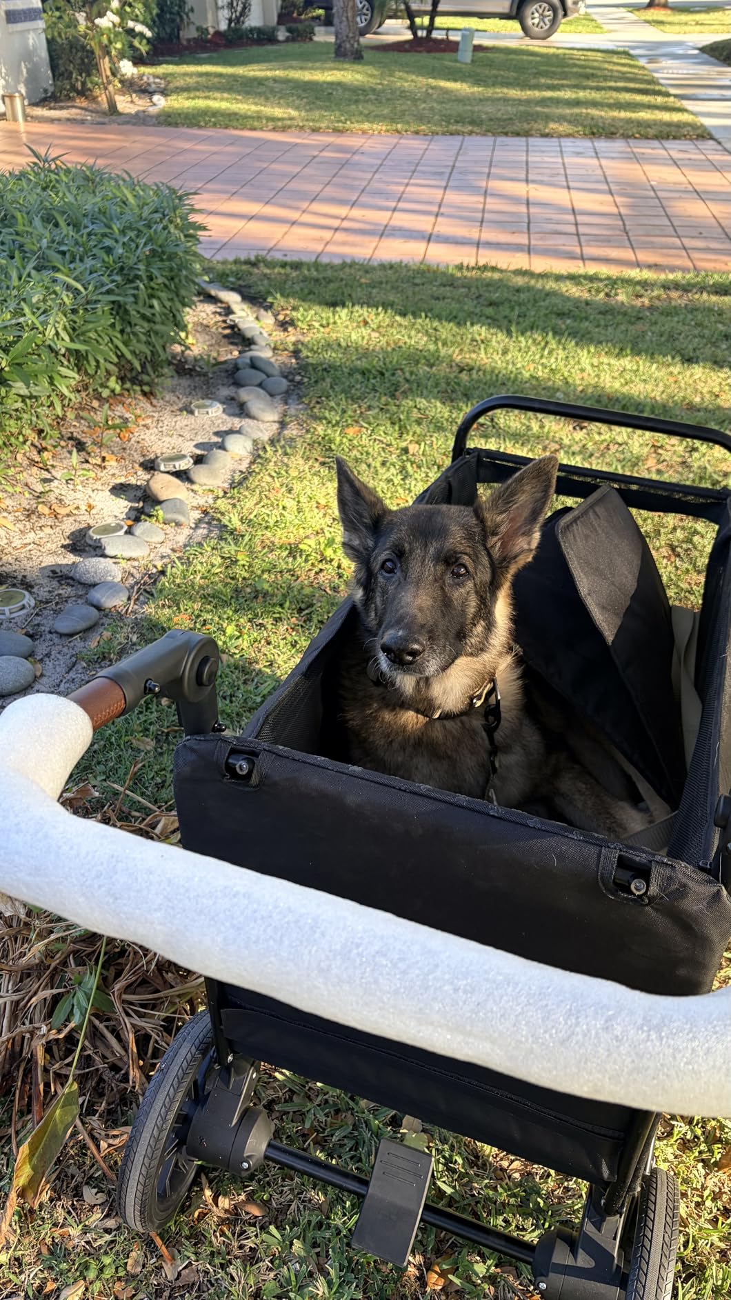 Dog Wagon for Medium Large Dogs up to 200lbs, All Terrain Foldable Large Pet Stroller with Ramp, Dog Wagon Cart with Adjustable Handle & One-Step Brake customer photo 2