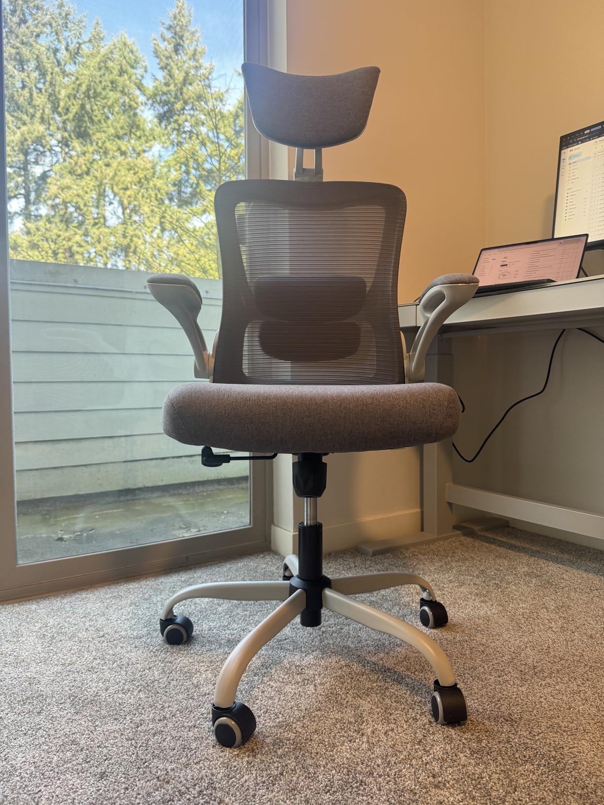 Ergonomic Office Chair, High Back Mesh Desk Chair with Adjustable Lumbar Support & Headrest, Flip-up Armrest, Computer Task Chairs for Home and Executive Office (B-Black) customer photo 1