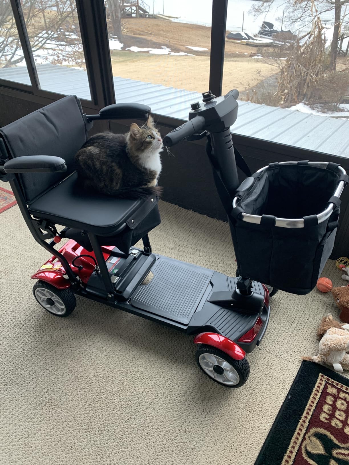 4 Wheels Mobility Scooters for Seniors, 39LBS Light Frame & 350LBS Capacity & 30 Miles Travel Range & 270W Brushless Motor Powered Wheelchair Folding Electric Scooter & LED Light & Dust Cover & Auto Brake-(Silver) customer photo 1