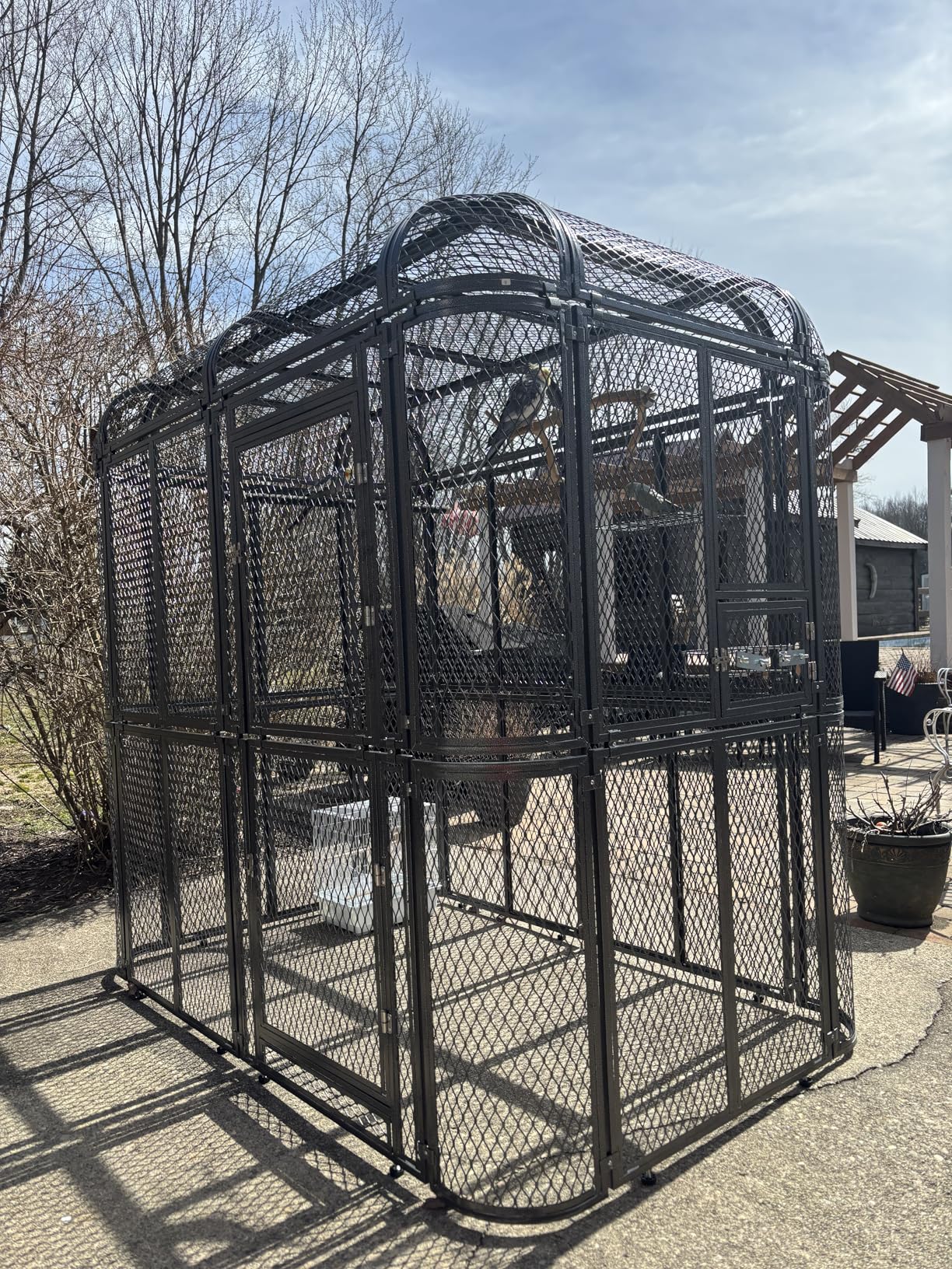 77-Inch Large Walk-in Birdcage Heavy Duty Outdoor Aviary - Rustproof Carbon Steel Flight Cage for Macaw, Budgie, Conure, Lovebird, Parakeet, Cockatiel (Black, 77 inch) customer photo 1