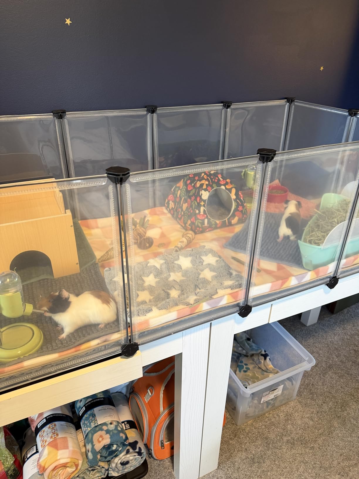 SONGMICS 2-Tier Guinea Pig Cage, Rabbit Cage, Small Animal Playpen with Waterproof Mat, Top and Side Door, 35 Panels, 36.6 x 24.8 x 24.2 Inches, Ink Black ULPI016BH01 customer photo 1