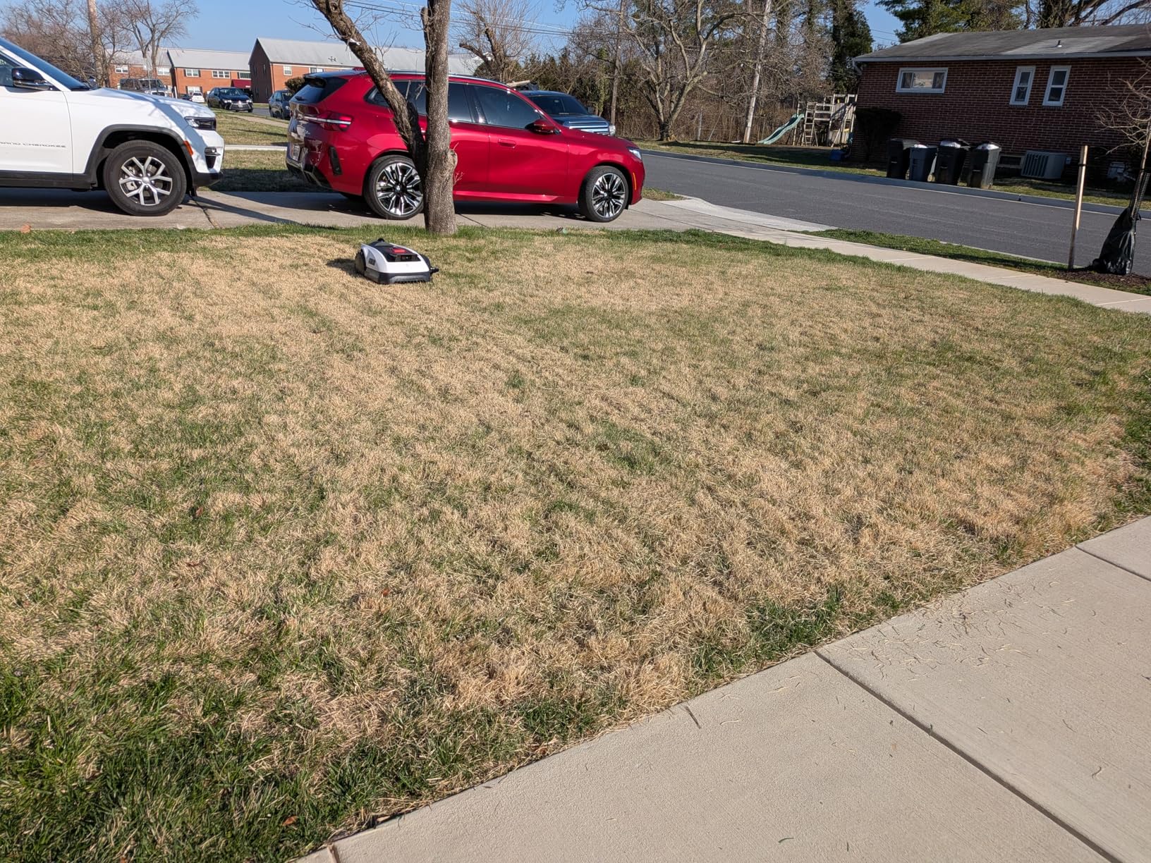 ECOVACS Goat O1000 LiDAR PRO Robotic Lawn Mower with TruEdge Trimmer for 1/4 Acre, Wire-Free LiDAR Navigation, Zero-Edge Cutting, Auto Mapping, AIVI 3D Obstacle Avoidance, 45% Slope customer photo 2