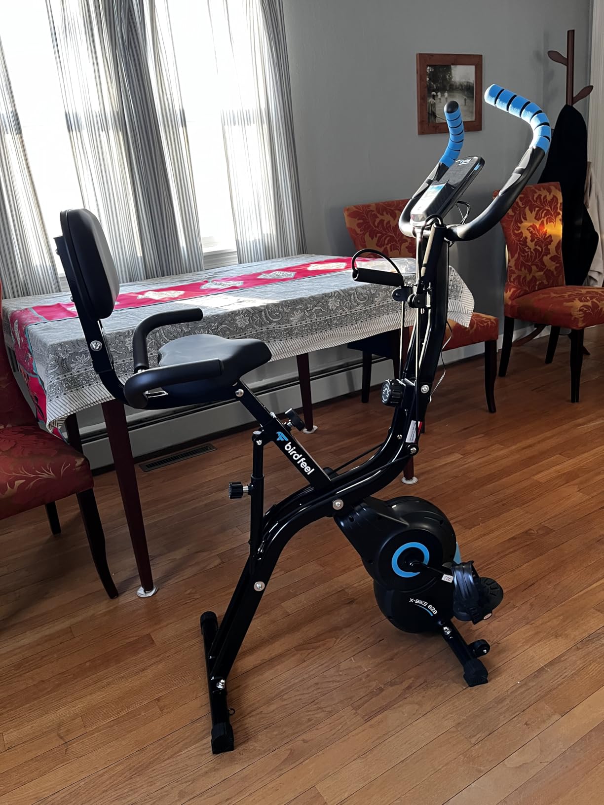 Foldable Exercise Bike, Multifunctional Indoor Stationary Bikes for Home with 8-Level Magnetic Resistance, Quiet Workout Bike with Arm Resistance Bands, LCD Monitor, 300LBS Capacity customer photo 1