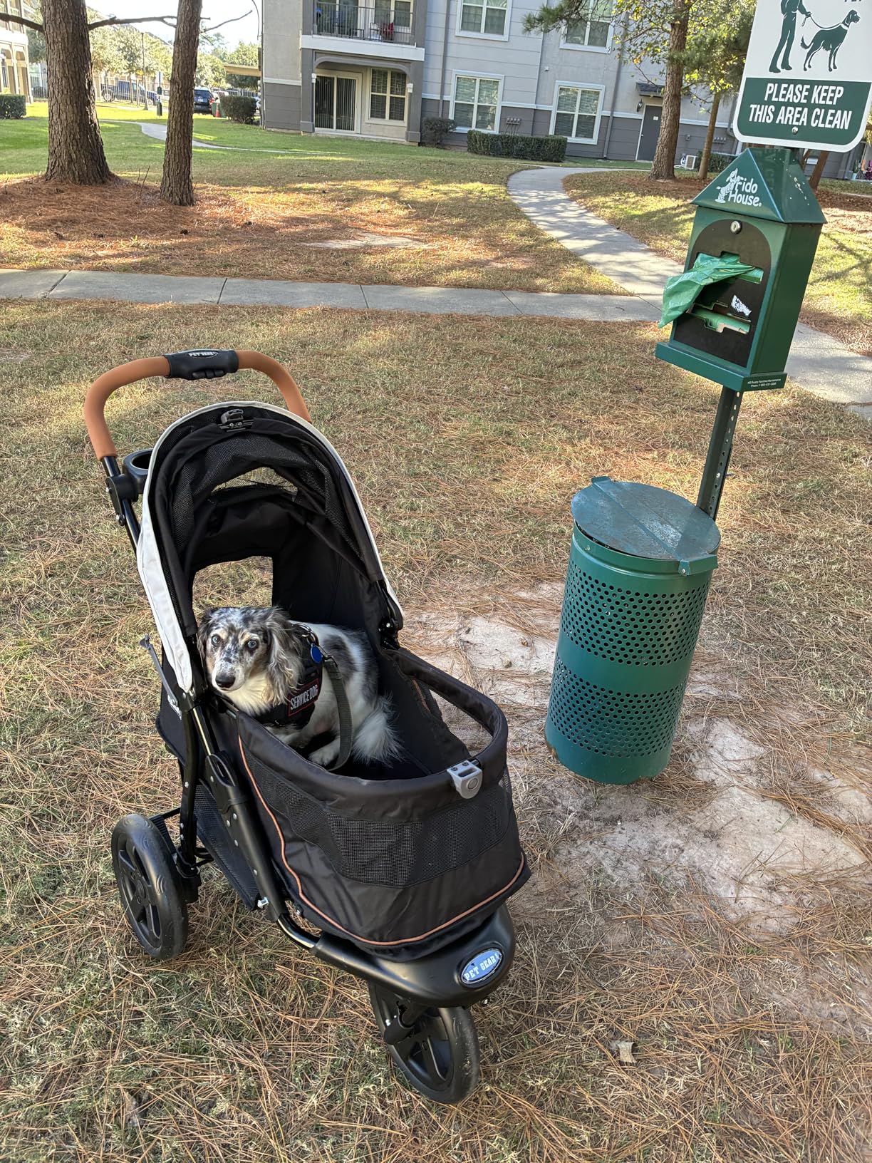 Pet Gear No-Zip AT3 Pet Stroller for Cats/Dogs, Zipperless Entry, Easy One-Hand Fold, Jogging Tires, Removable Liner, Cup Holder + Storage Basket customer photo 2