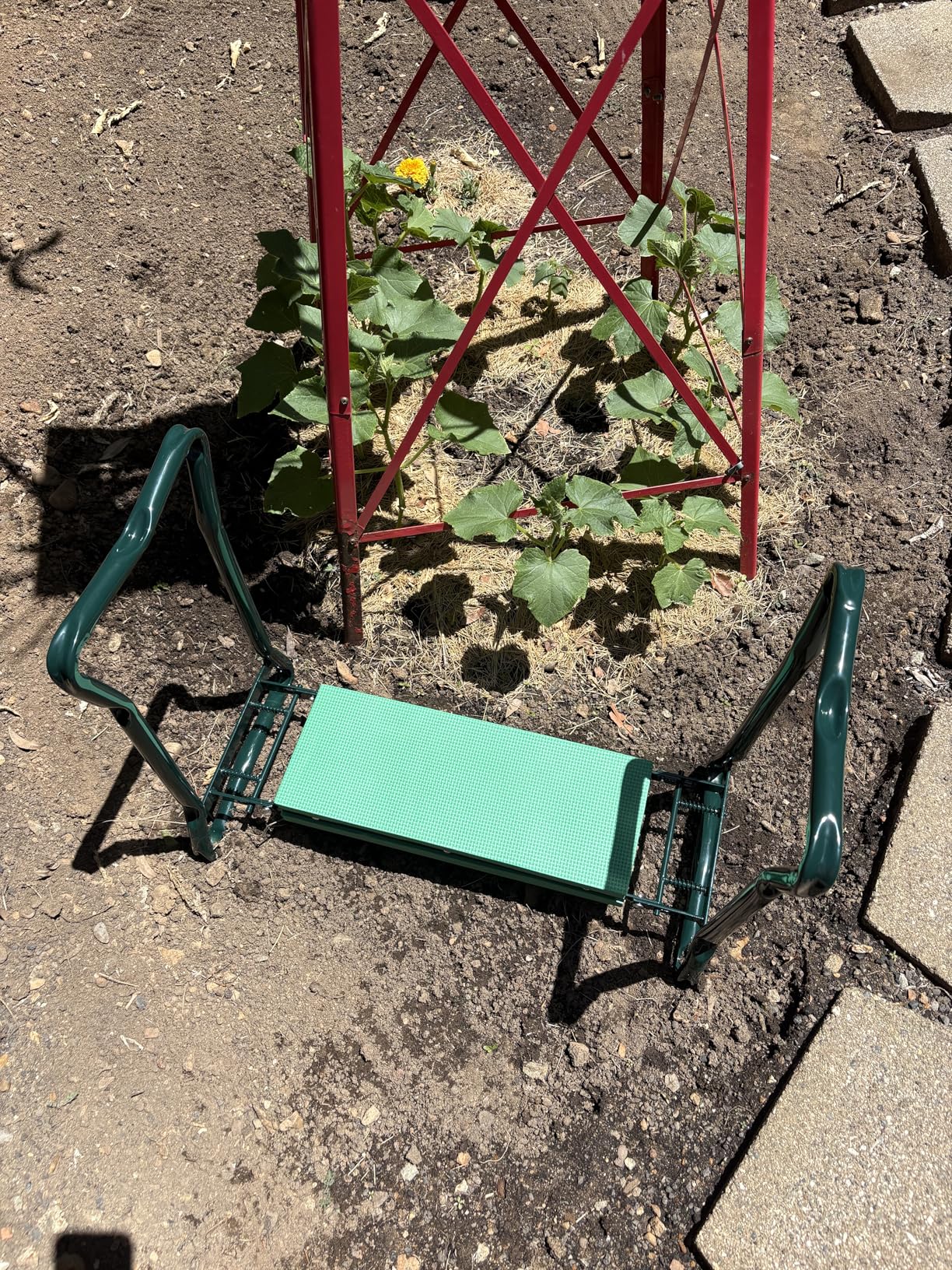 Backyard Expressions Garden Kneeler & Seat - 2-in-1 Garden Stool and Kneeler, Foldable Gardening Bench with Cushioned Pad for Weeding, Planting & Yard Work customer photo 2