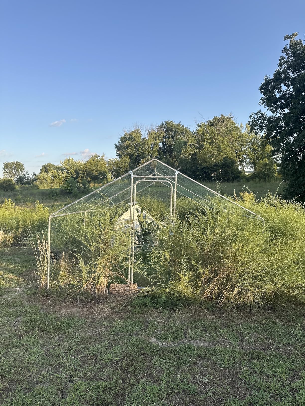 Large Metal Chicken Coop with Waterproof &UV-Resistant Cover&Perch,9.8' Lx 13.2' x 6.4' Chicken Run Outdoor Walk-in Cage Rabbit Duck Hen House for Yard Farm,Spire Roof customer photo 1