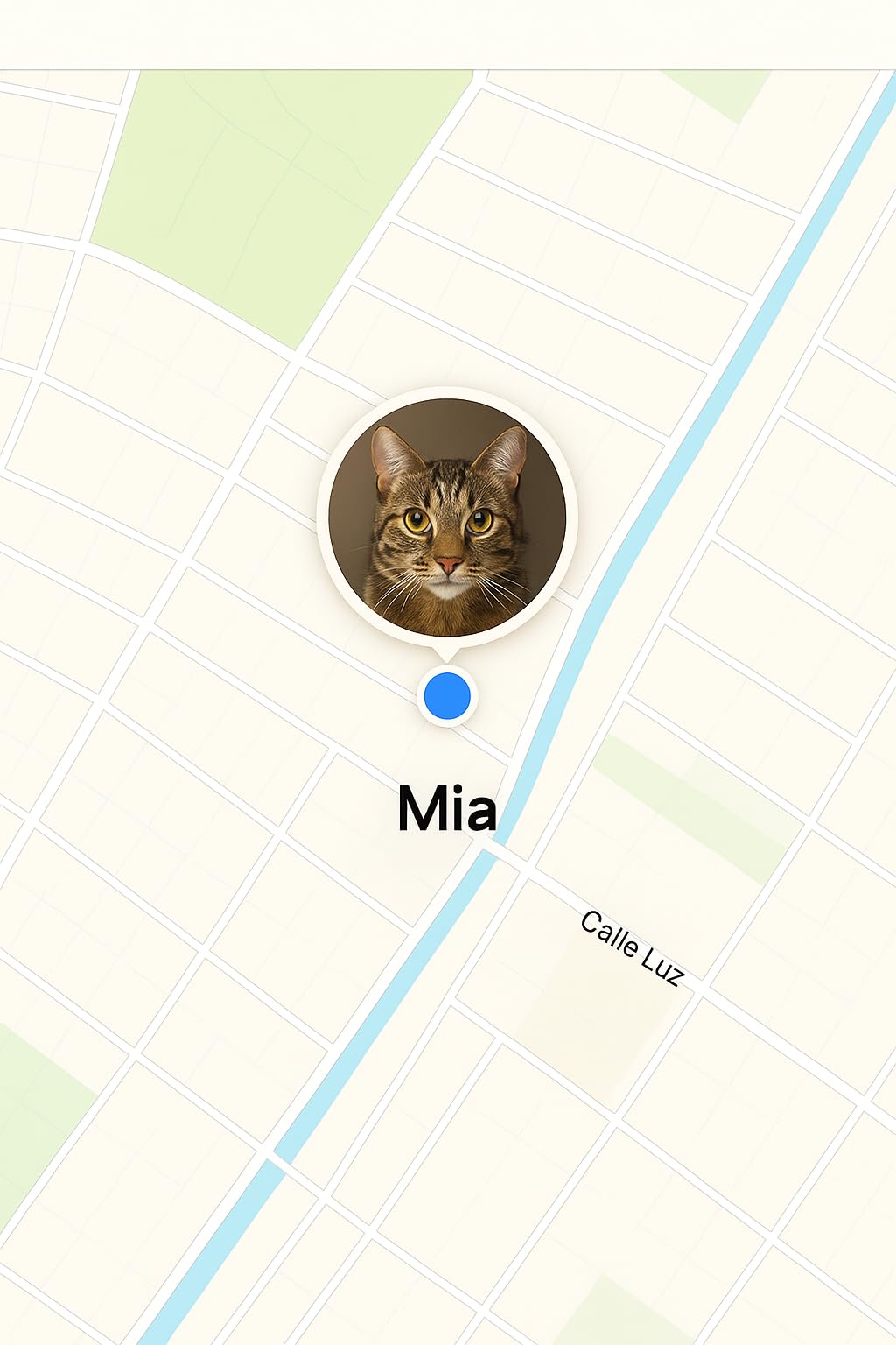 GPS Cat Tracker Collar(iOS & Android), Bluetooth Mini GPS Dog Tracker, Smart Pet Activity Tracker, No Monthly Fee, Work with Apple Find My & Google Find Hub, Finder Tag for Pets,Items 1P Green customer photo 1