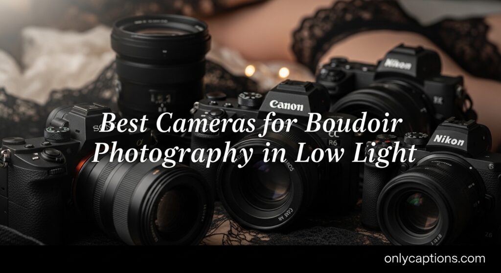 Current image: Best Cameras for Boudoir Photography in Low Light