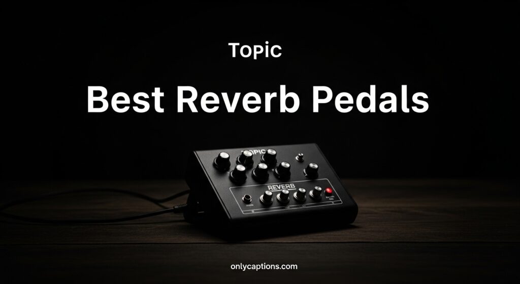 Current image: Best Reverb Pedals
