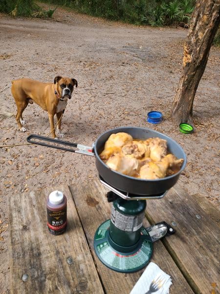 Coleman BottleTop Propane Stove with Adjustable Burner customer photo 1
