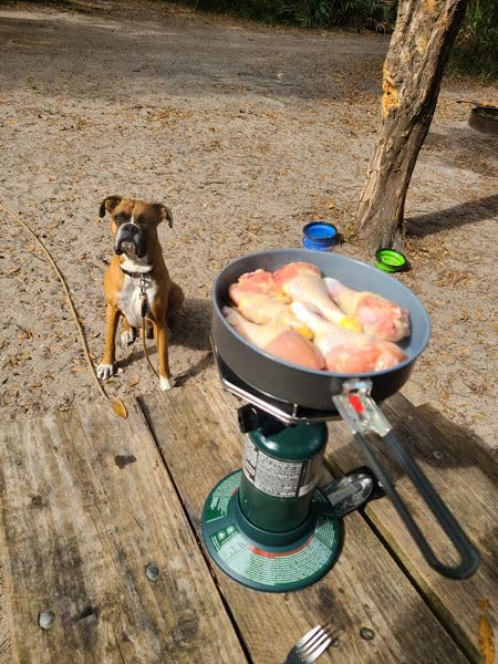 Coleman BottleTop Propane Stove with Adjustable Burner customer photo 2