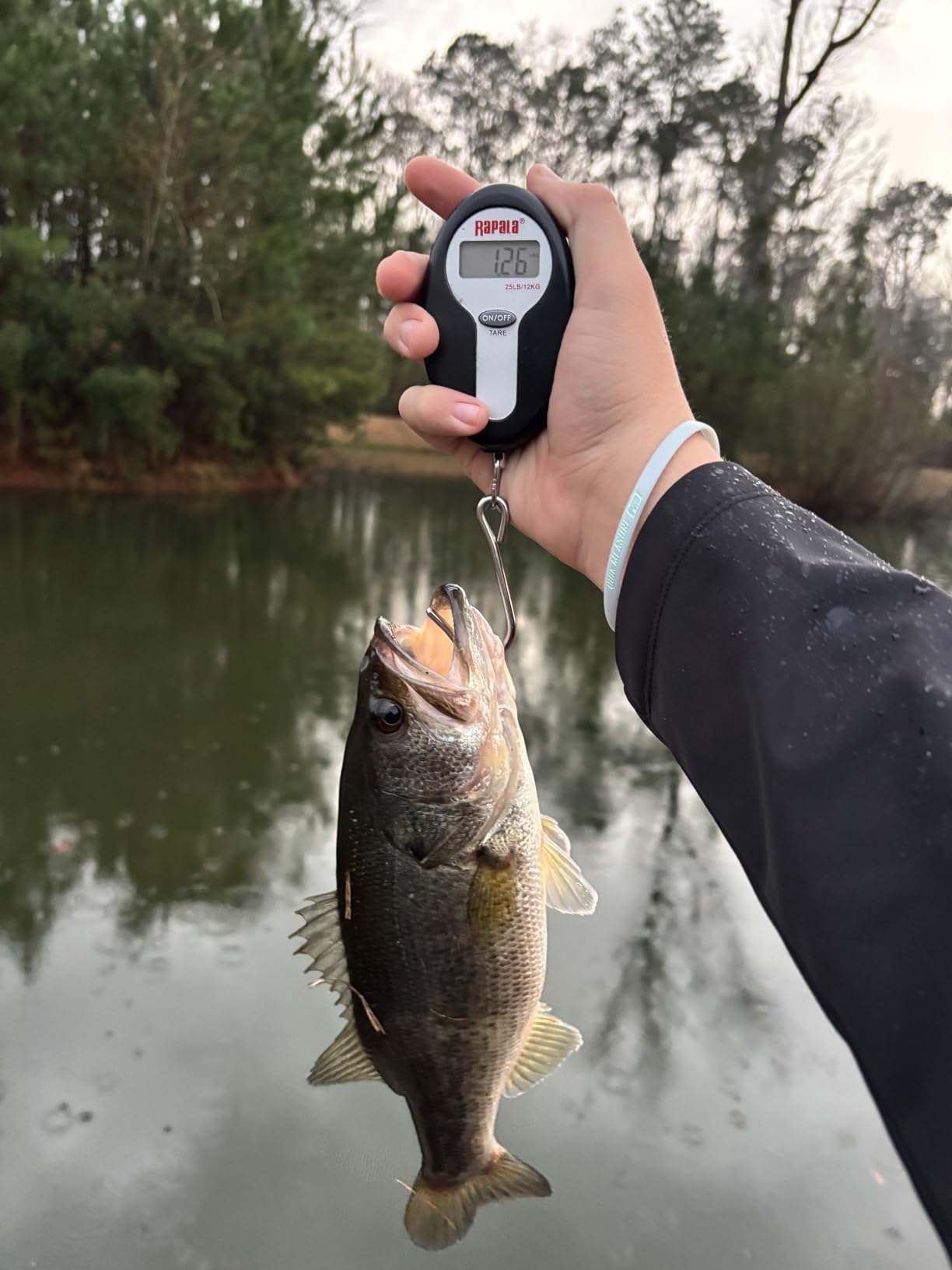 Strike King Rage Tail Craw customer photo 1