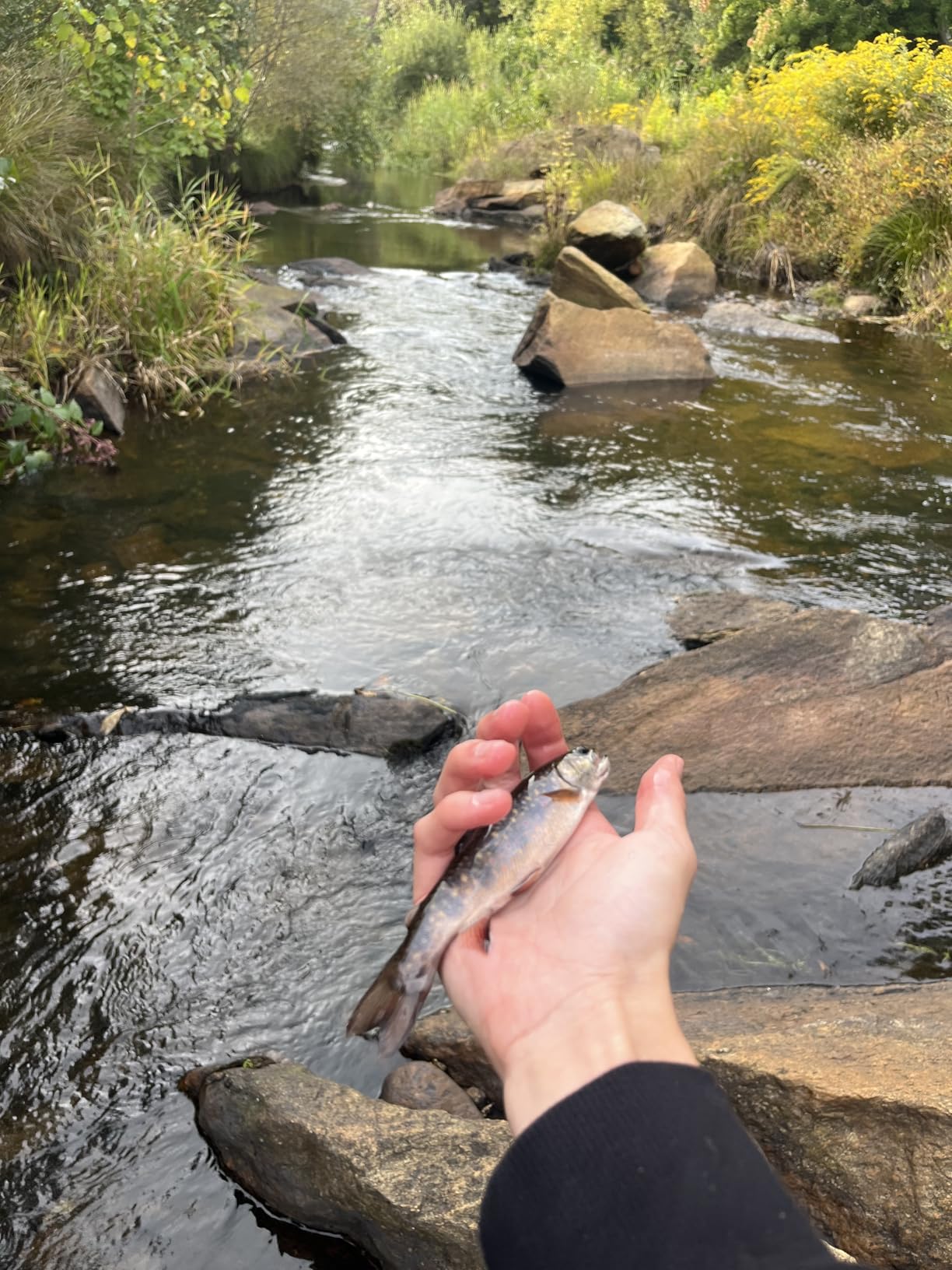 Okuma Crisium Fly Rod customer photo 1