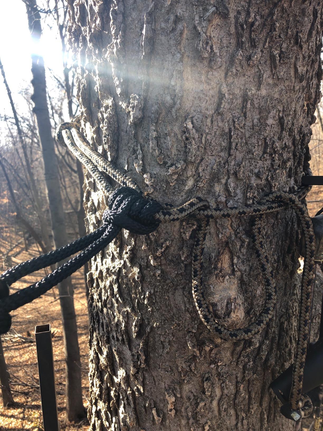 Hunter Safety System Rope Style Treestrap: 9' Hunting Safety Strap with Prussik Knot for Climbing & Treestand Security customer photo 2