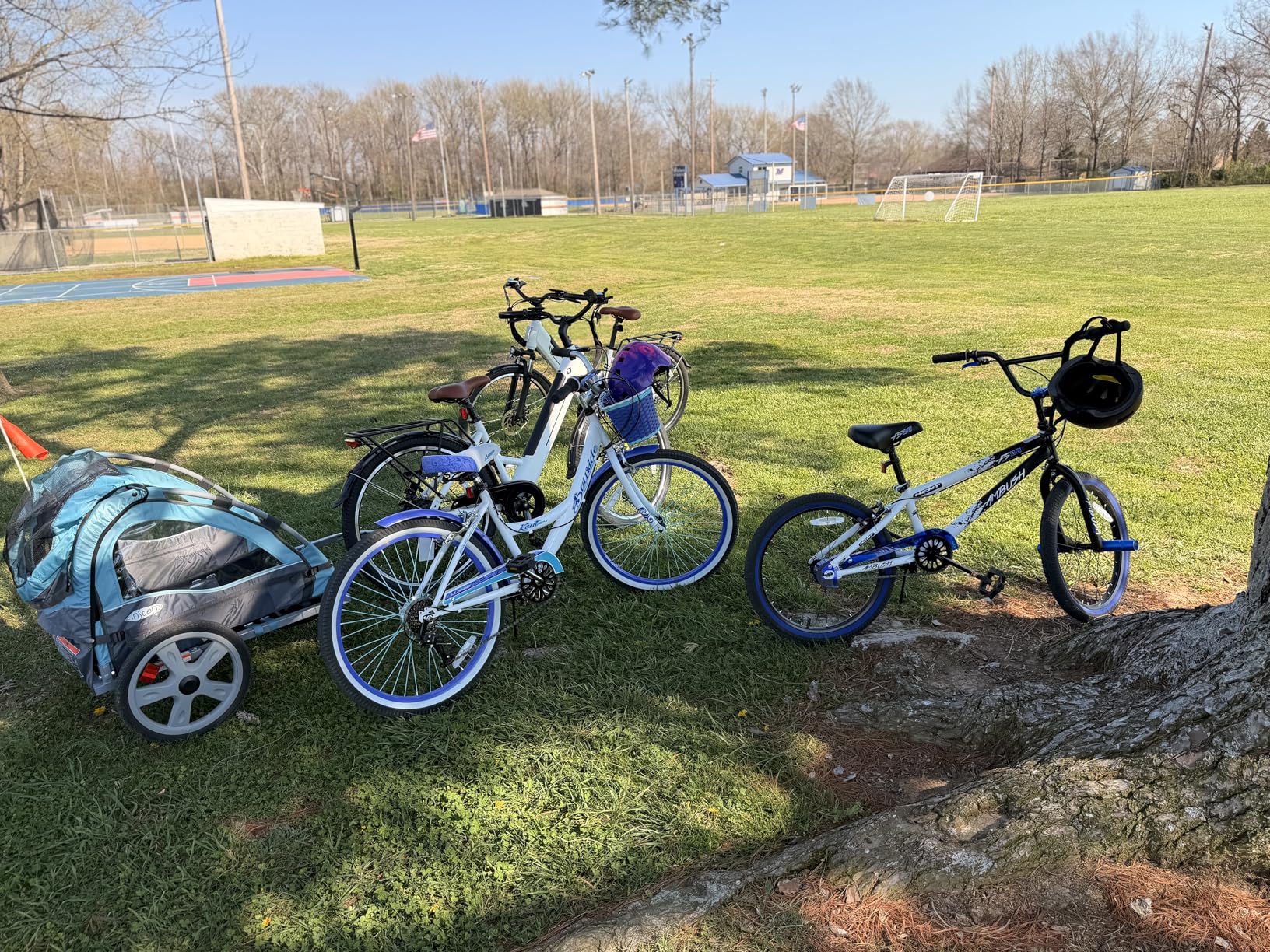 InStep Take 2 Kids Bike Trailer, Double Seat, Universal Coupler, Folding Frame, Quick-Release Wheels, Canopy with Bug Screen and Weather Shield customer photo 1