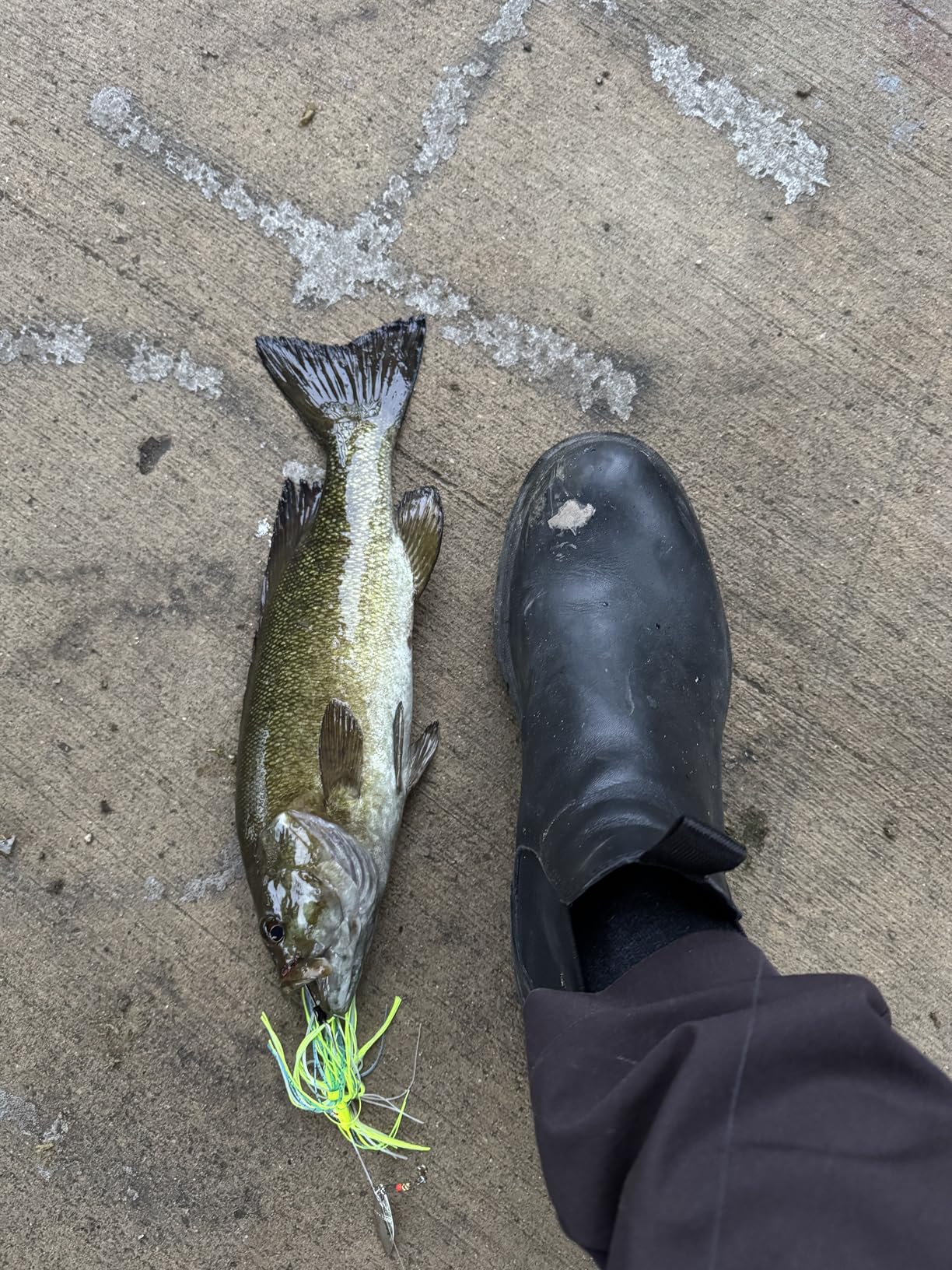 Booyah Blade Spinner-Bait Bass Fishing Lure customer photo 2