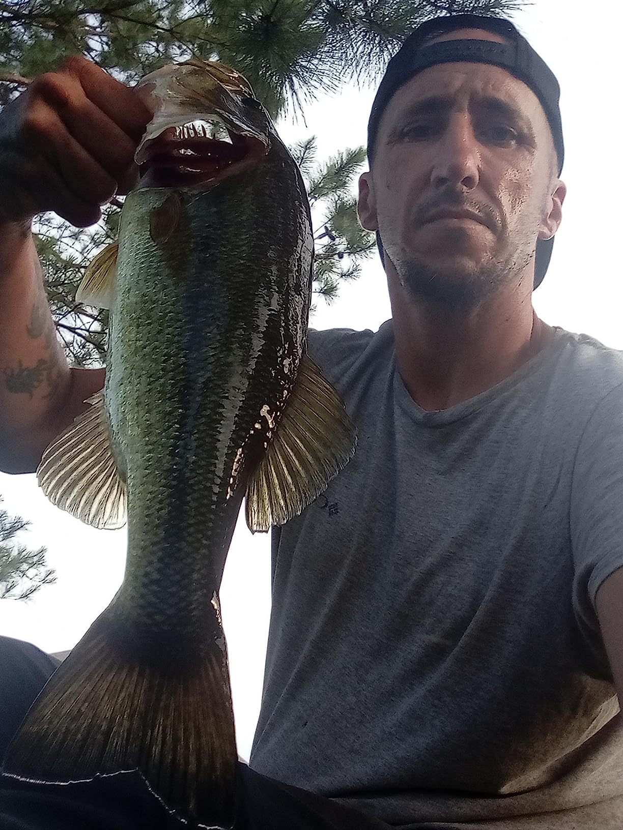Yamamoto 5.5