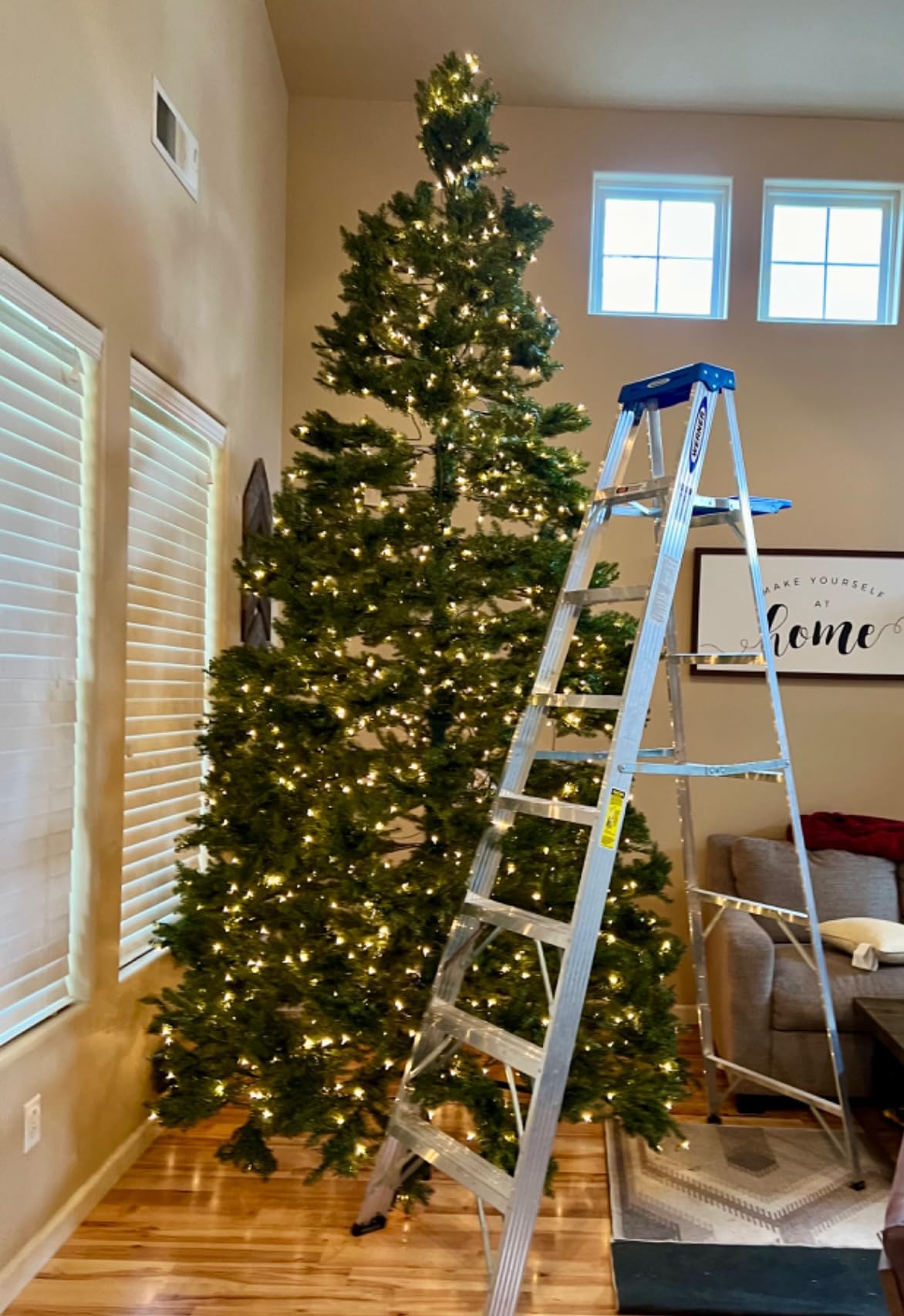 National Tree Company 6.5 ft Pre-Lit Dunhill Fir Artificial Christmas Tree, 650 Warm White LED Lights, 1,838 Tips, Includes Stand, Green customer photo 1