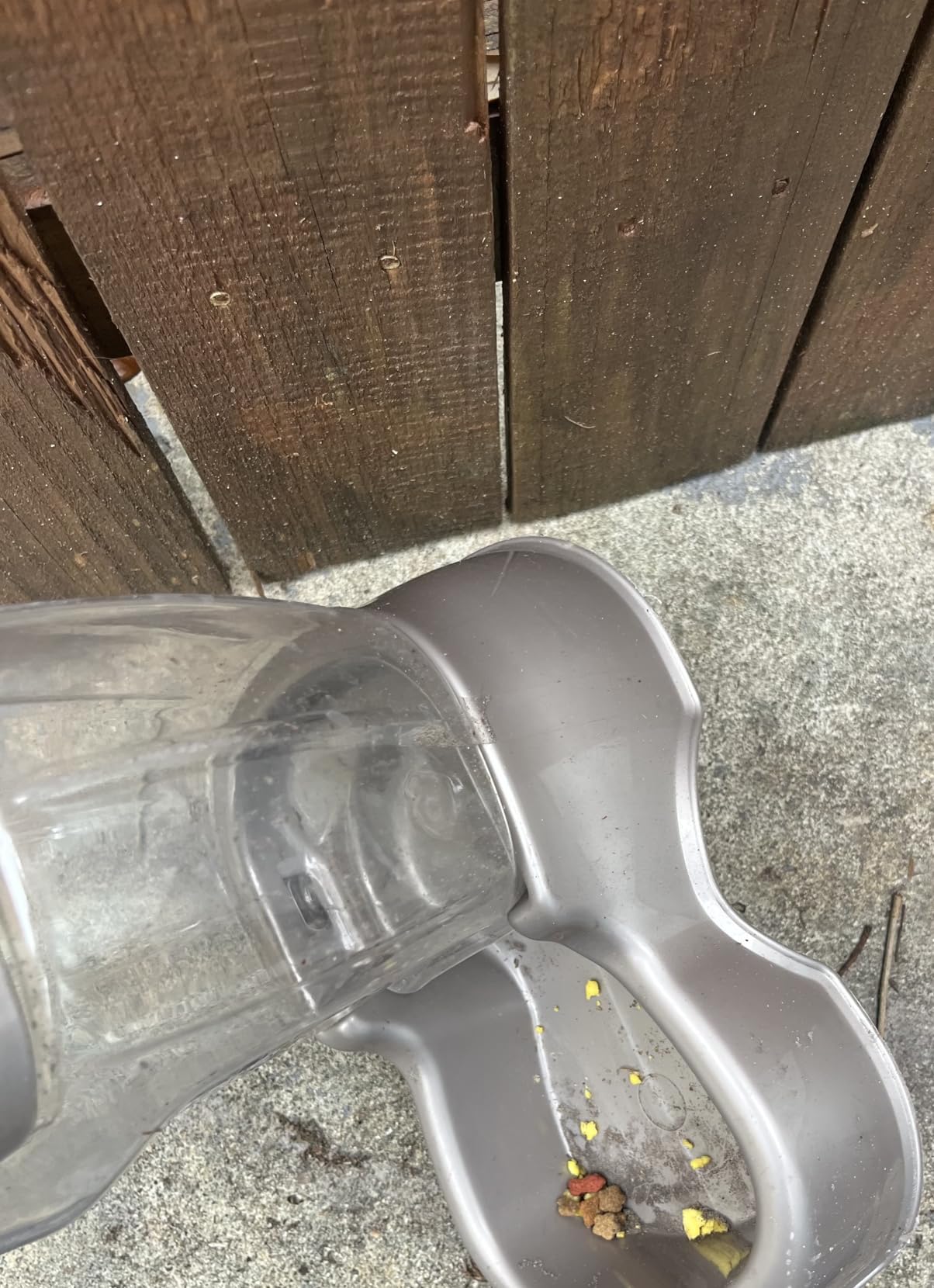 Petmate Pet Cafe Feeder Dog and Cat Feeder Pearlescent Colors 3 Sizes, Made in USA customer photo 2