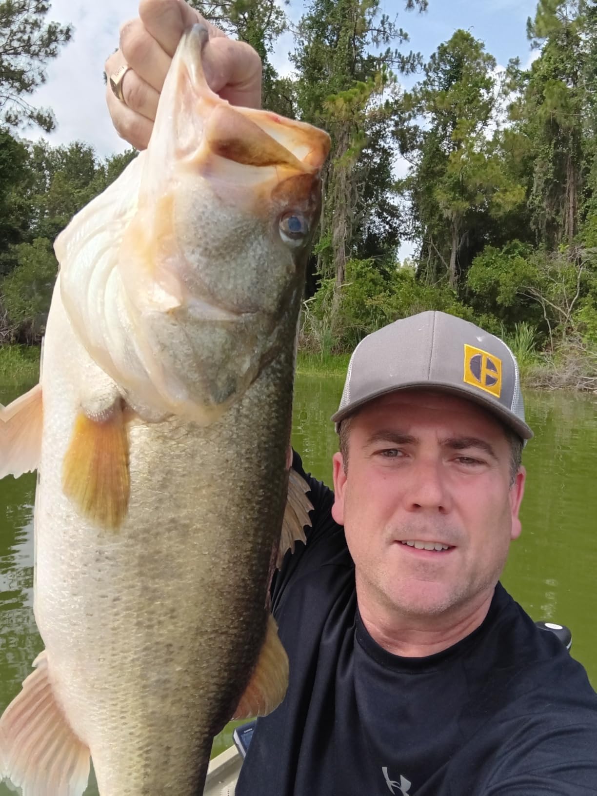 Norman Lures DD22 Deep-Diving Crankbait Bass Fishing Lure customer photo 1
