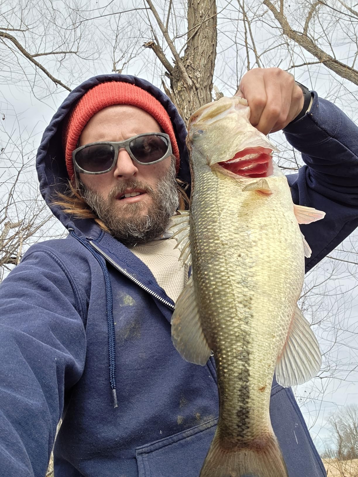 Strike King KVD Jerkbait 3 Hook customer photo 2