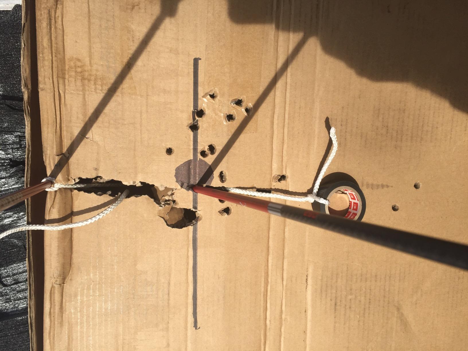 Carbon Express Maxima RED Fletched Carbon Arrows with Dynamic Spine Control and Blazer Vanes, 6-Pack customer photo 1