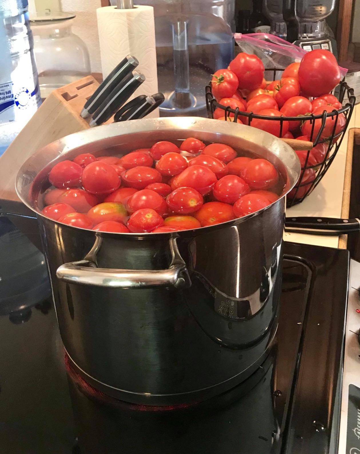 Granite Ware Stainless Steel Deluxe Food Mill - 2-Quart, Durable and Rust-Resistant, Hand Crank with 3 Interchangeable Discs customer photo 2