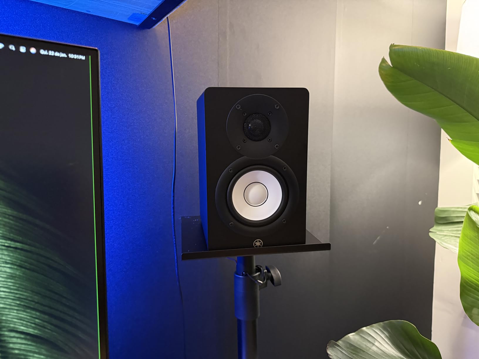 YAMAHA HS8 Studio Monitor, Black, 8 Inch customer photo 2