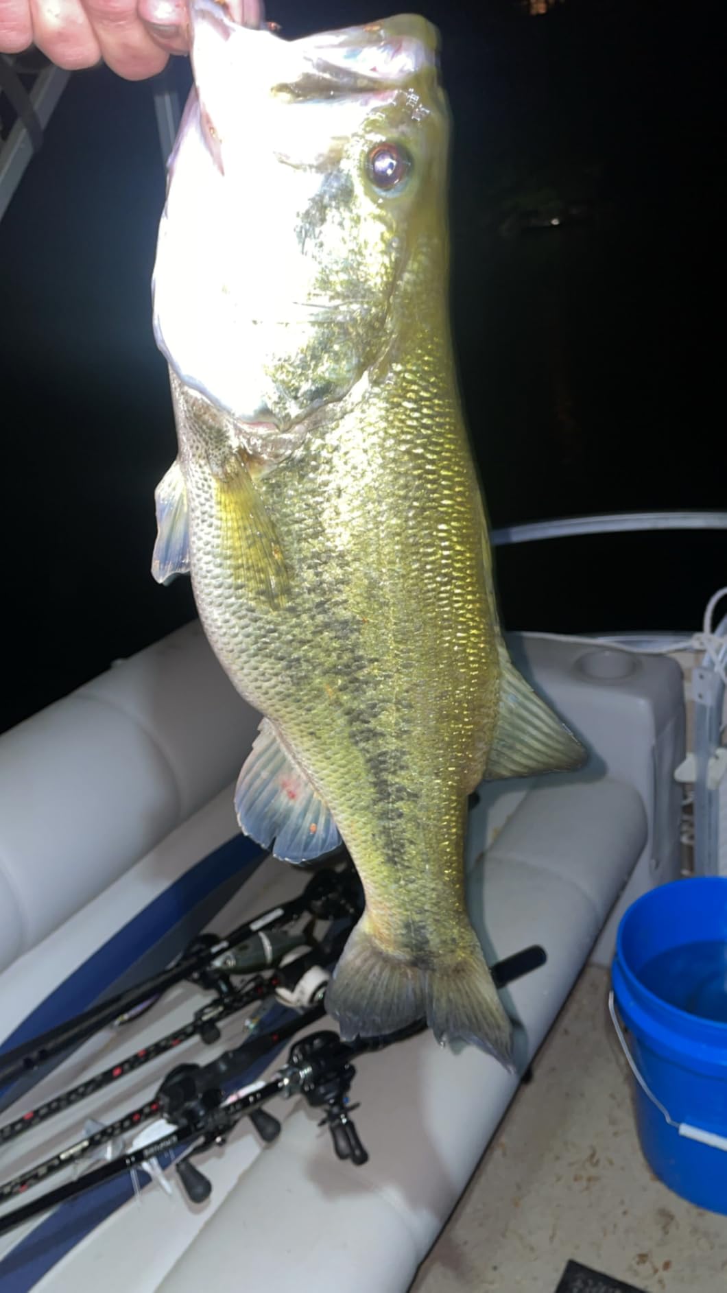 Berkley PowerBait Power Worms Fishing Soft Bait customer photo 1